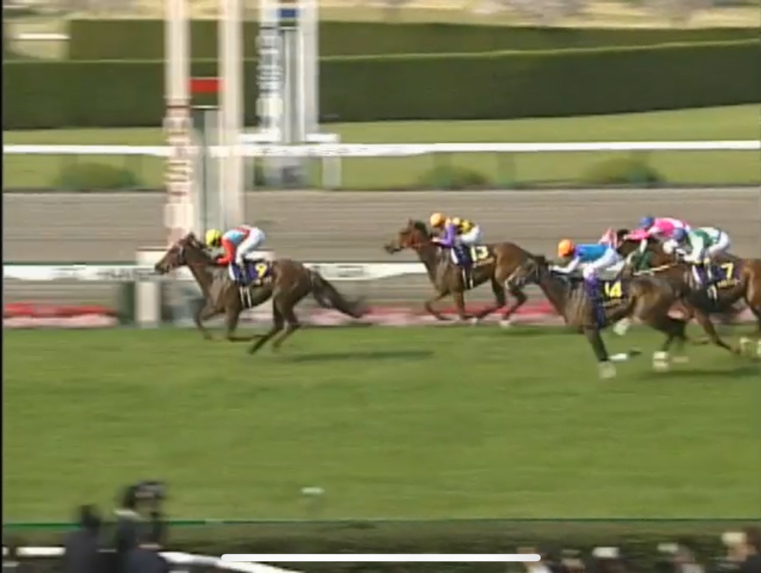 スティルインラブ❗️2003現地的中三冠馬券コレクション 牝馬三冠馬】スティルインラブ - YouTube