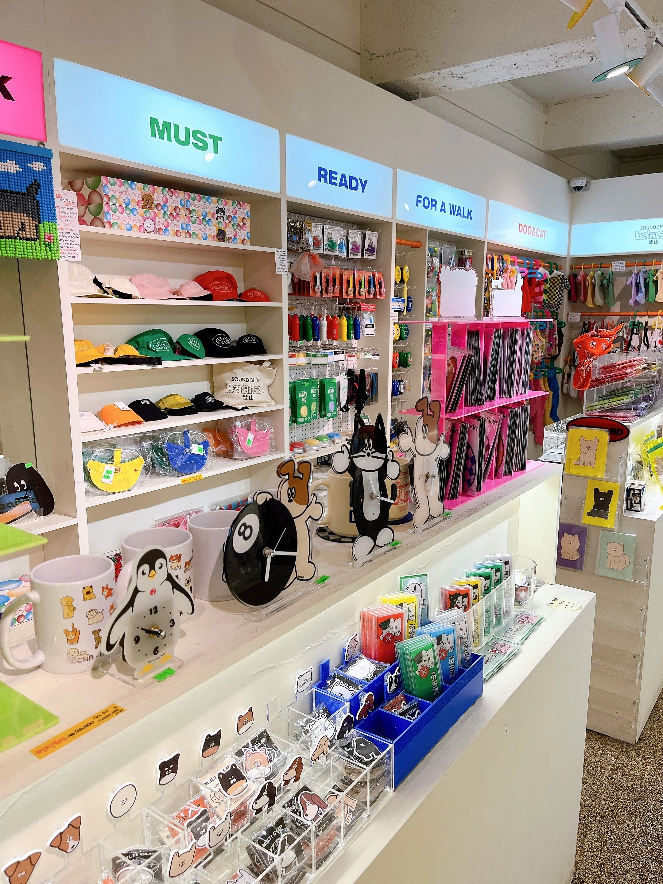韓国雑貨屋巡りの旅🐼釜山編①｜Haruka