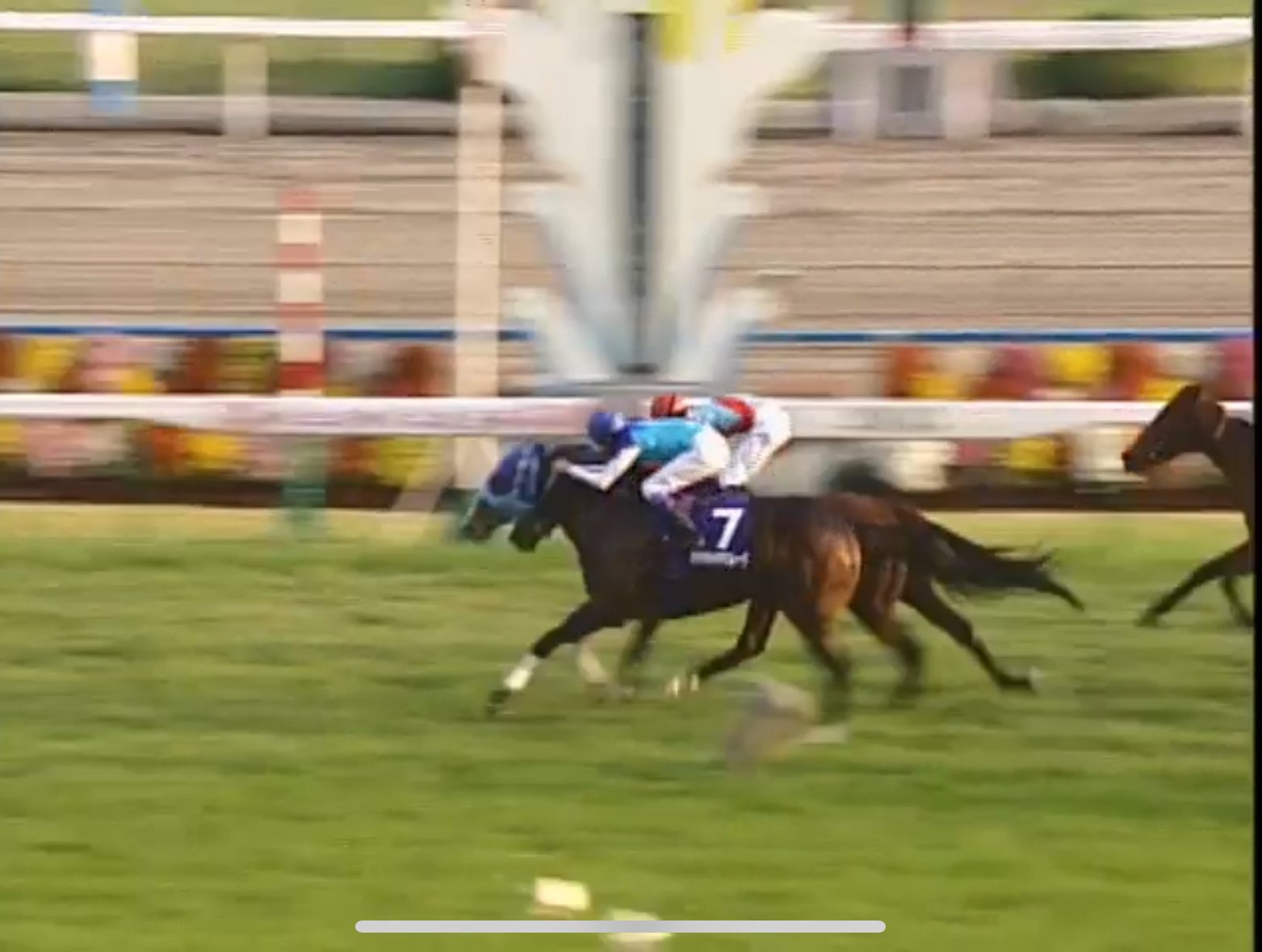 UMA] スティルインラブは、豊饒の海だった｜だいぽよ