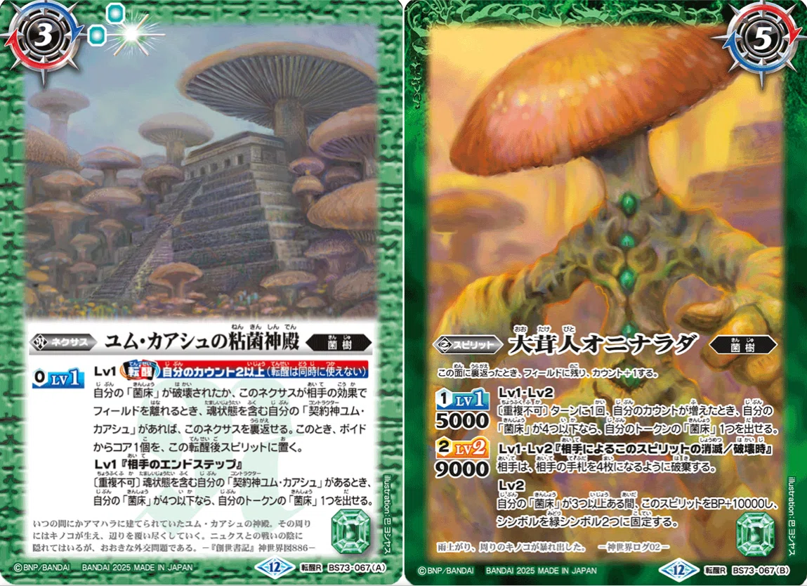 8月号 オマケ(ポロリもあるよ)】あー！チッ菌床ーーーーーーーーーッ