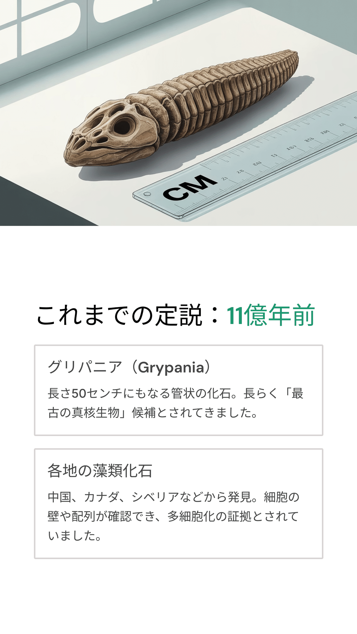 多細胞生物の誕生と進化の最新研究：11億年前からさらに遡る生命の歴史