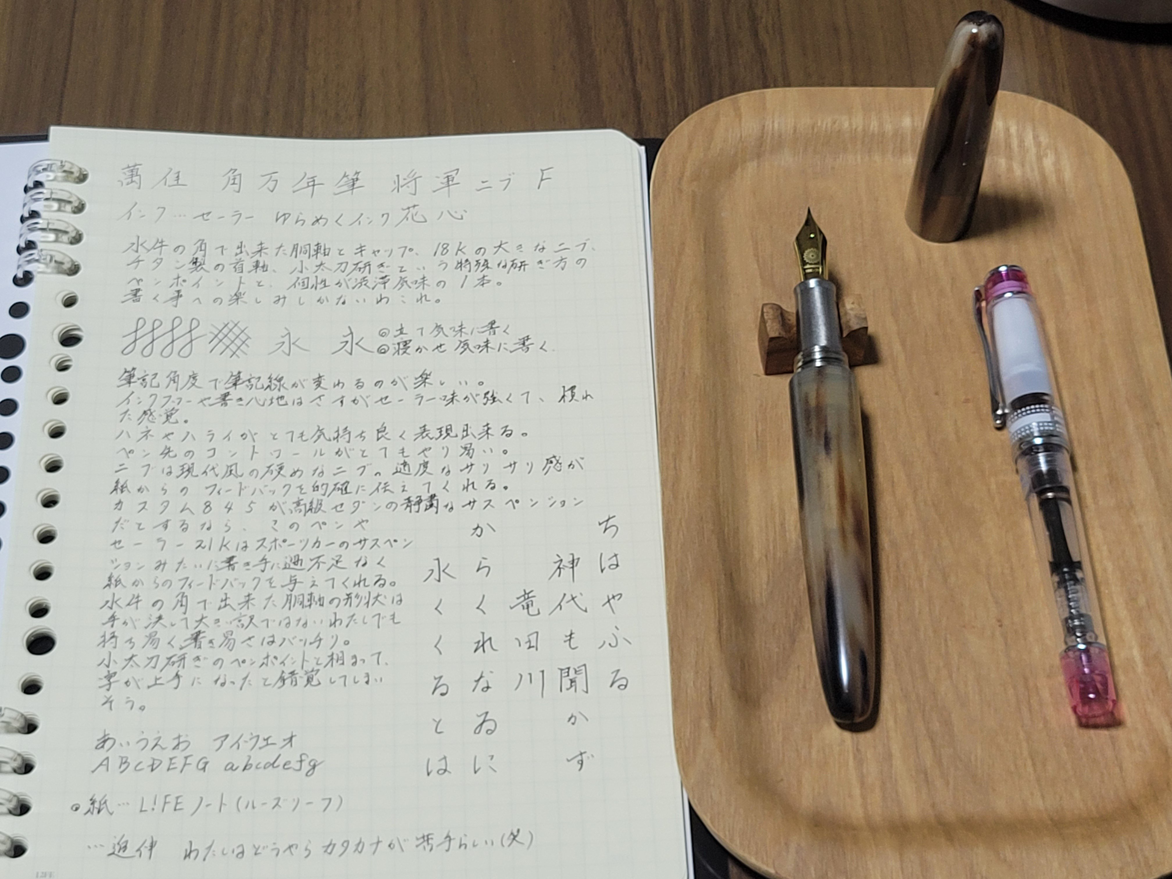 萬佳(ワンチャー) 角万年筆を約1ヶ月使ってみた！｜Say