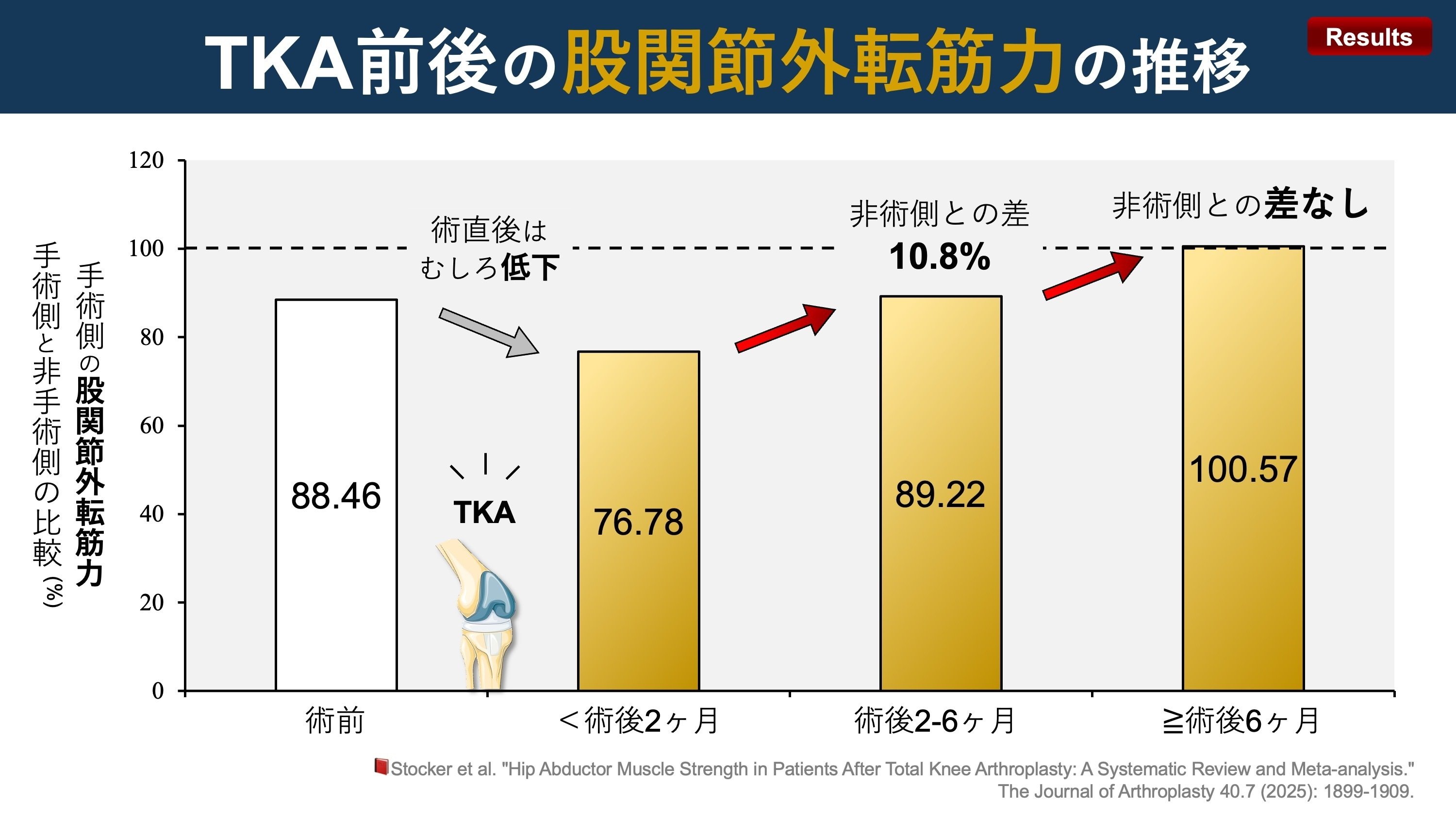 人工膝関節置換術前後の股関節外転筋力の推移｜Super Human