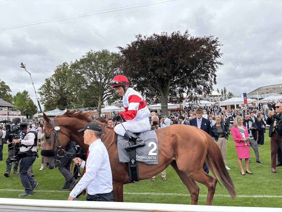 海外競馬鑑賞】英・ヨーク競馬場│York Racecourse｜Kotaro S
