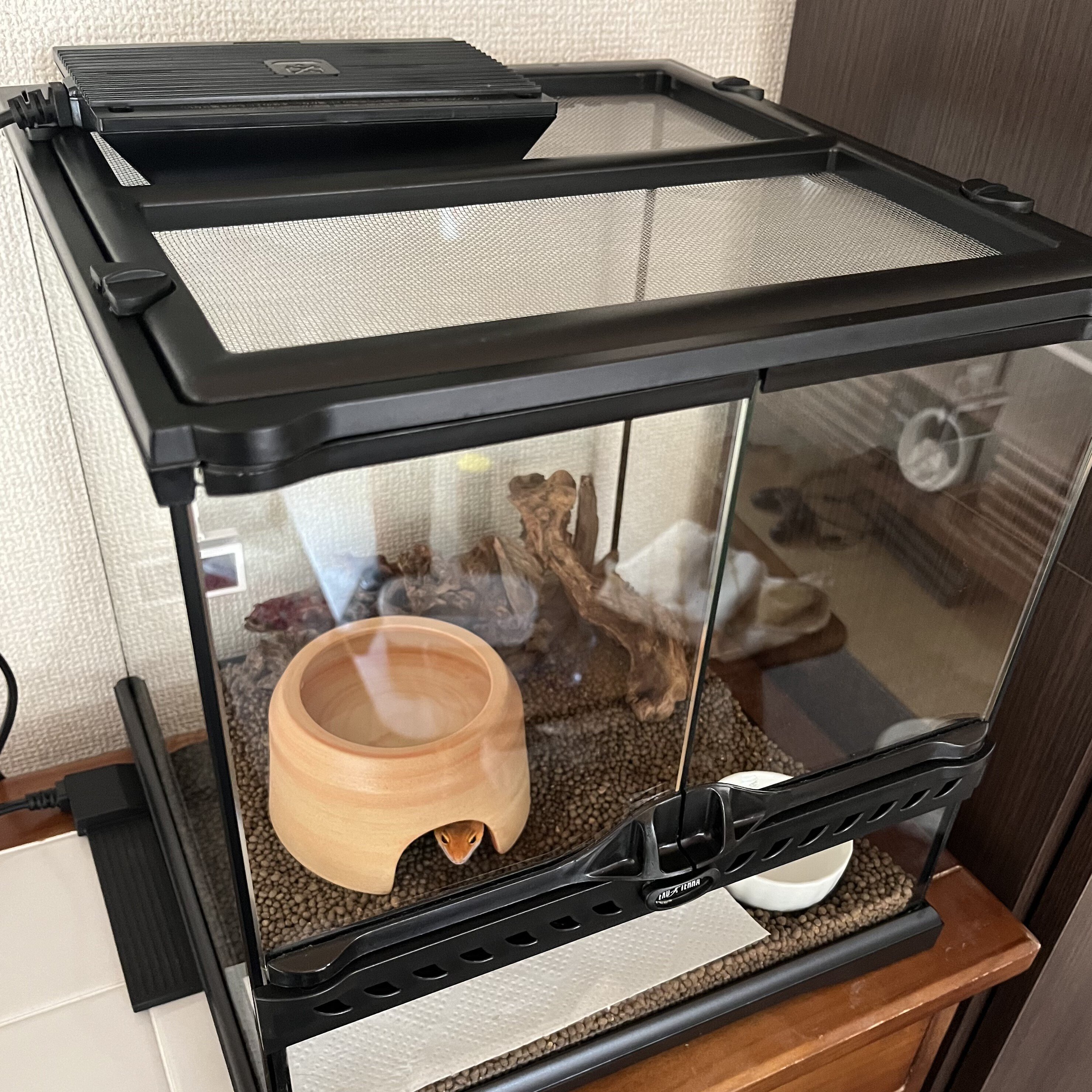 ヨツギ【30×25×30オーダーケージ】 ヨツギ【30×25×30オーダーケージ】 ヨツギ様専用【30×25×30