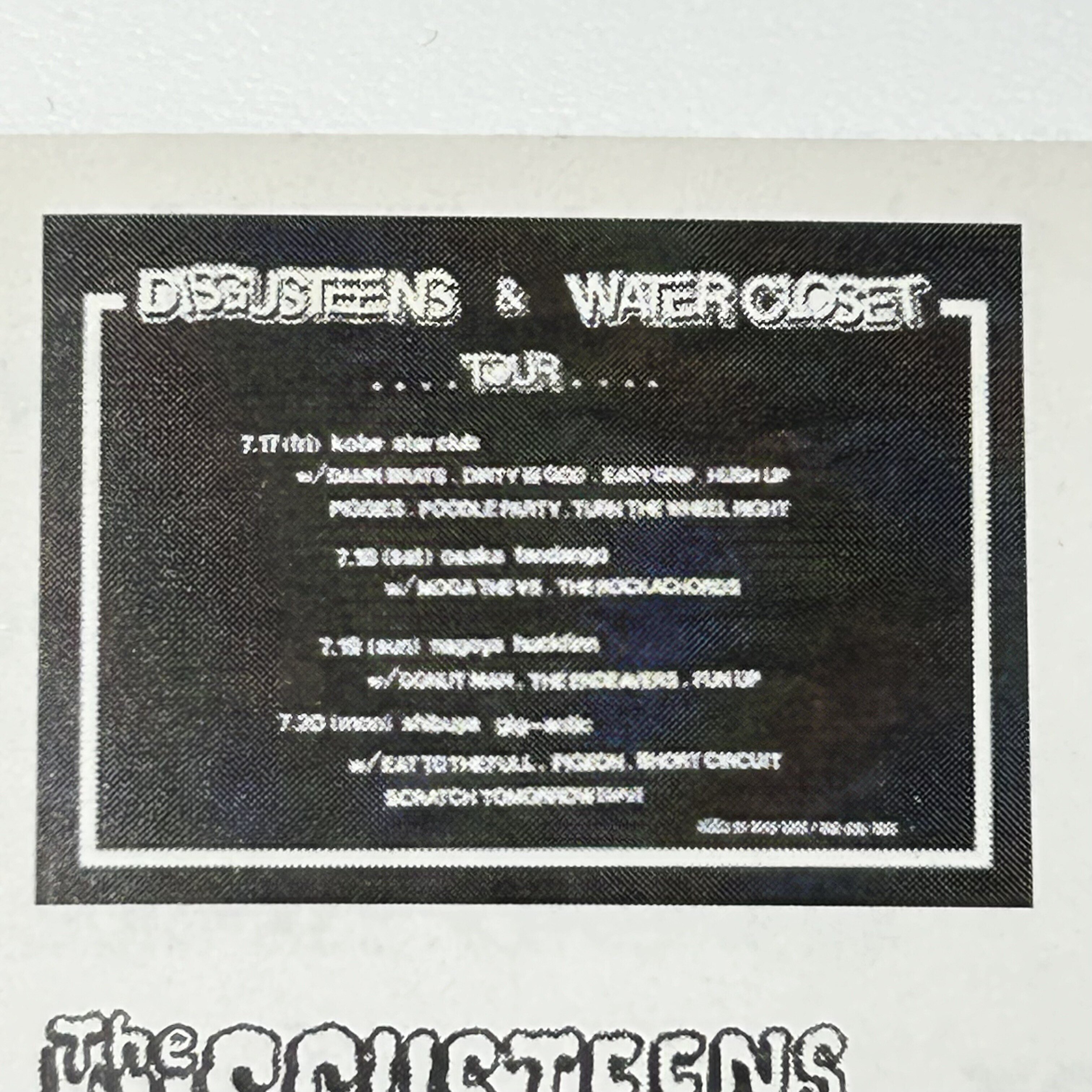 DiSGUSTEENS「DiSGUSTEENS」 LP アナログレコード DiSGUSTEENS(ディスガスティーンズ)/【LP】7インチレコード - メルカリ
