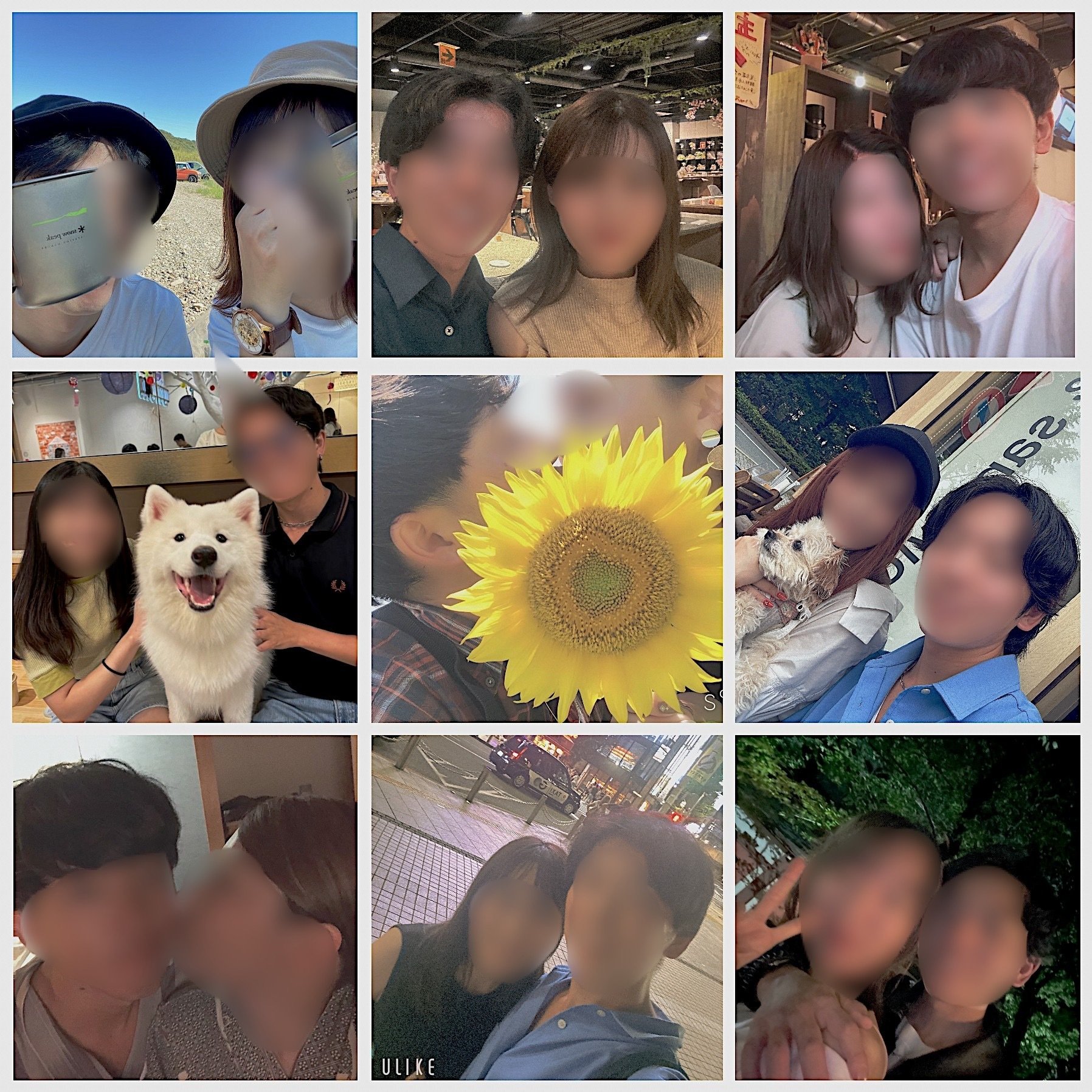 年収206万ド平凡公務員がマッチングアプリ写真撮影で人生攻略した話