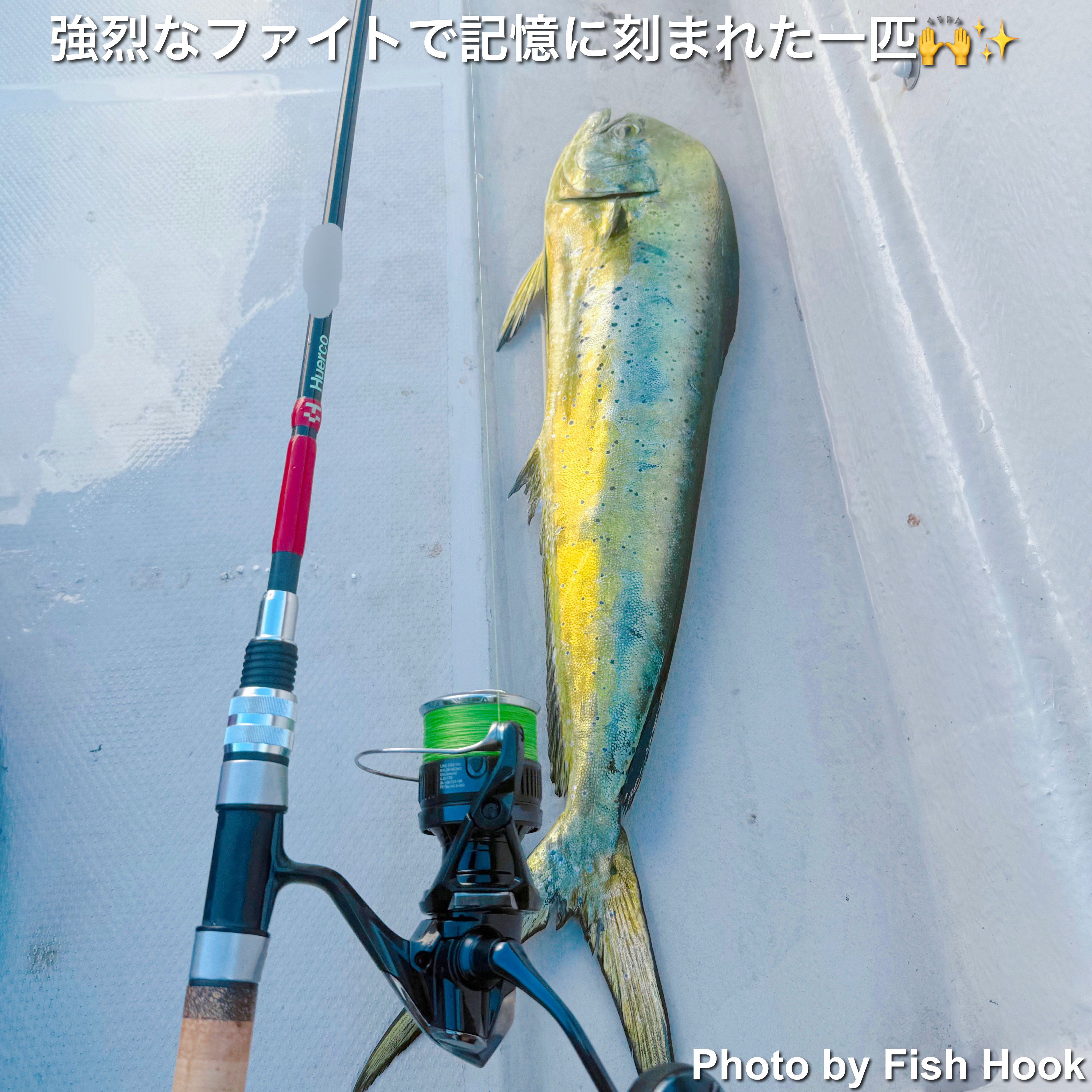 海とエリアをつなぐ“マッチ・ザ・ベイト”──東京湾シイラ釣行記｜Fish