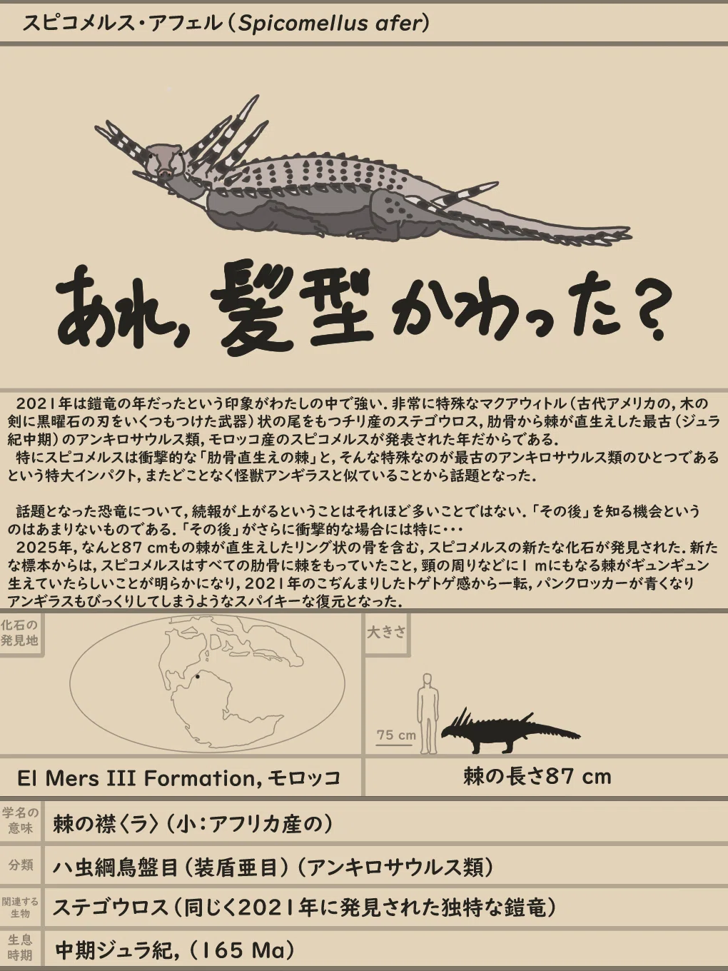 33 あの恐竜は今・・・スピコメルス・アフェル｜やんわりッ古生物