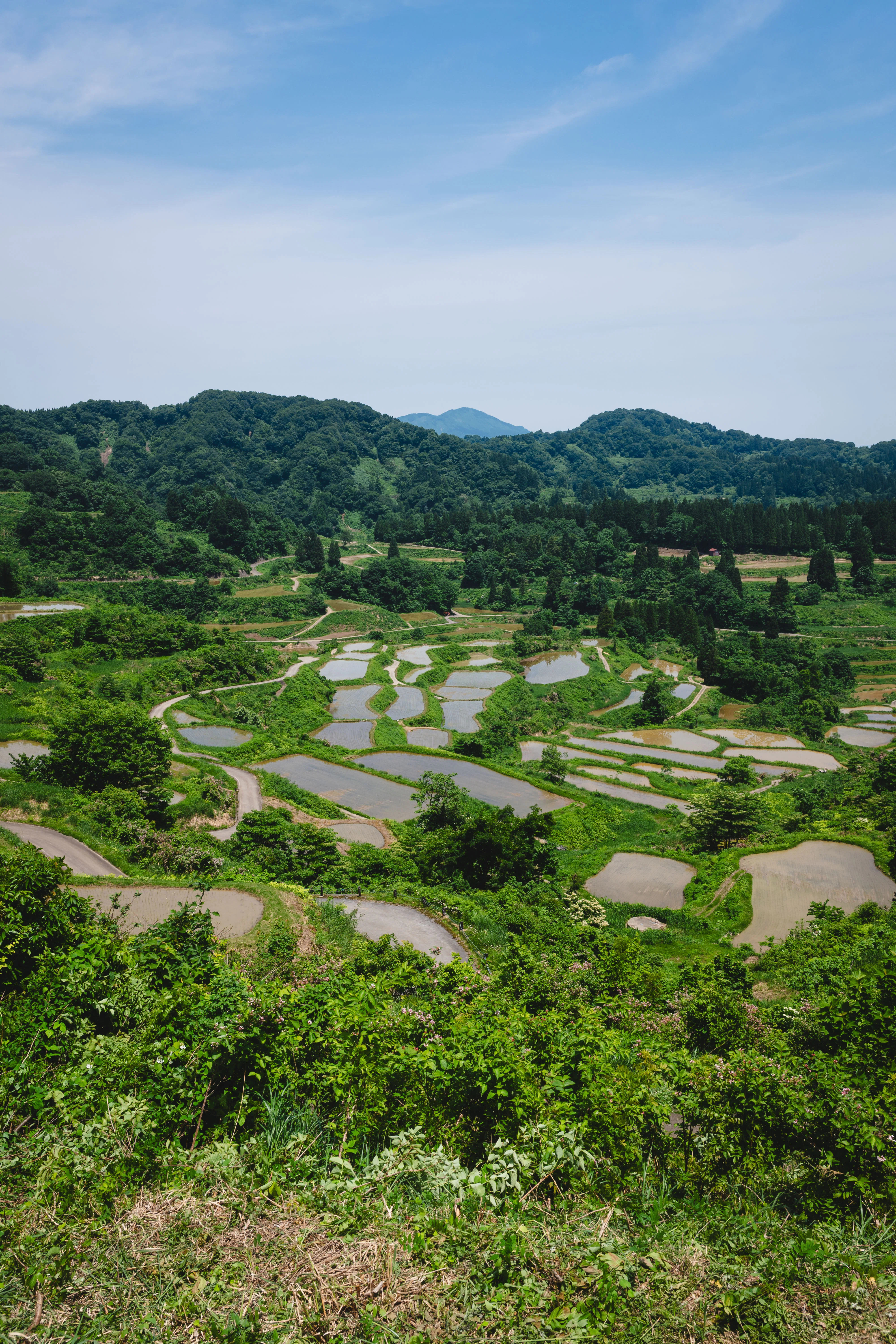 旅の写真日記(新潟/十日町)｜反 町 。