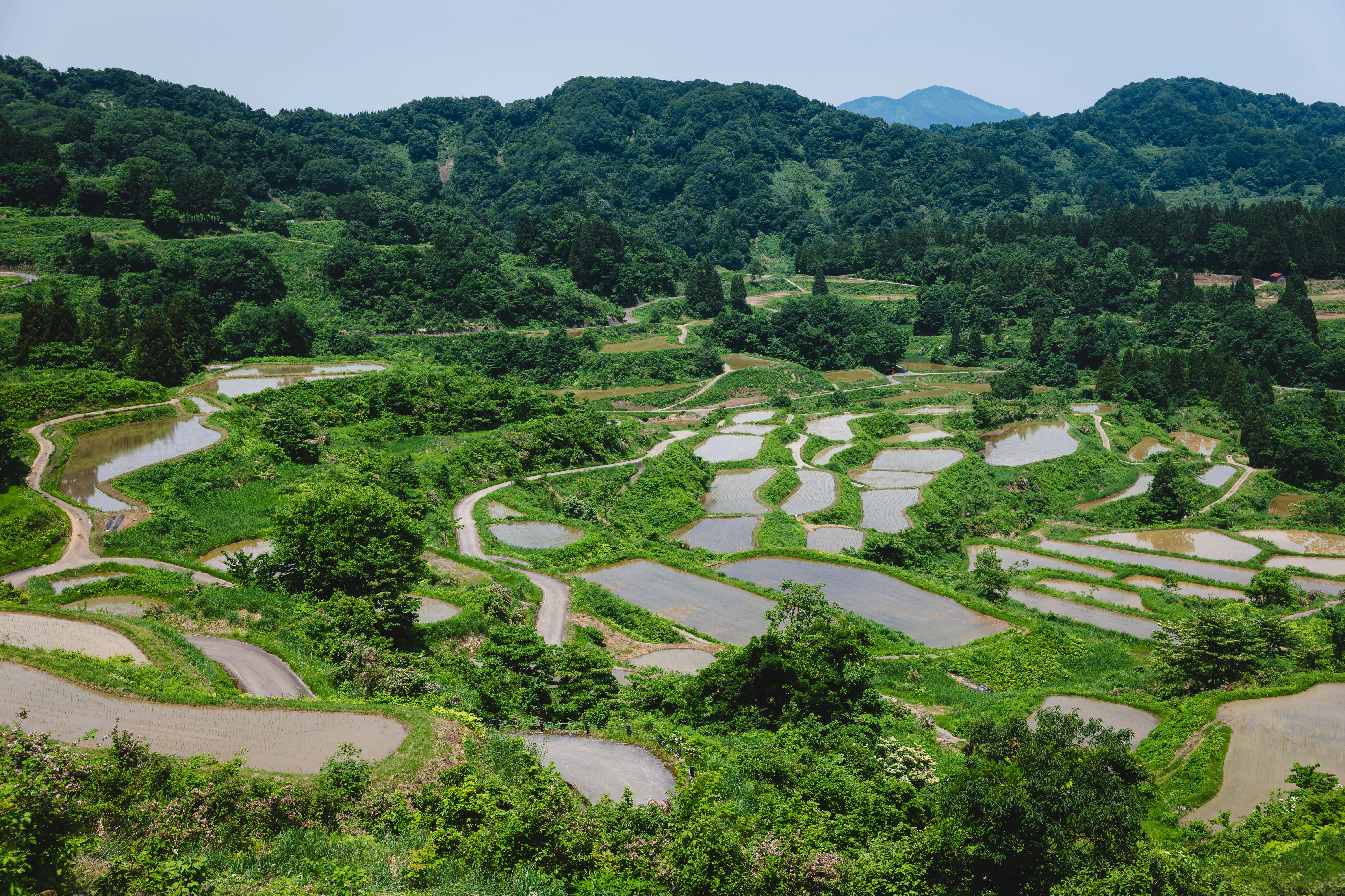 旅の写真日記(新潟/十日町)｜反 町 。