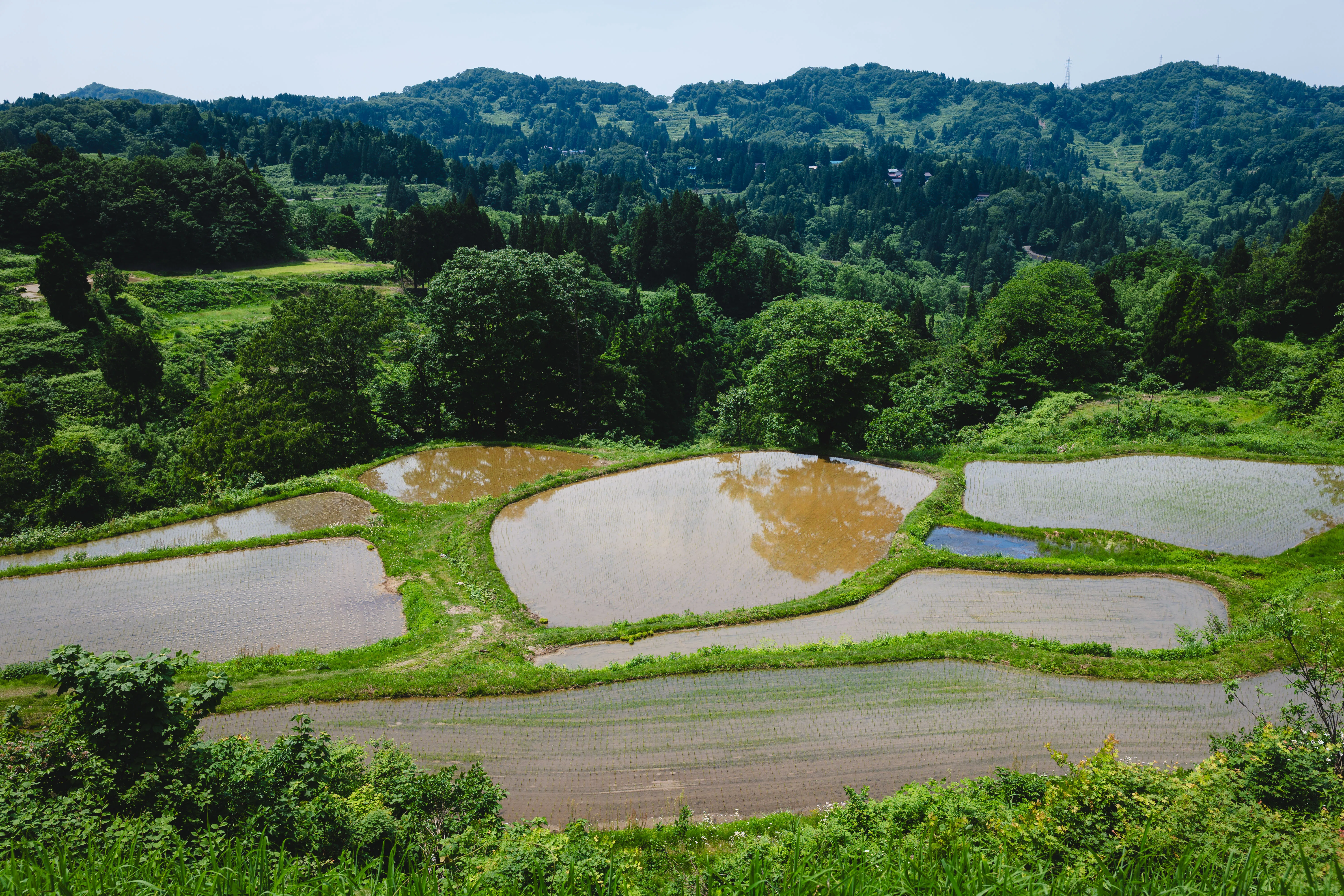 旅の写真日記(新潟/十日町)｜反 町 。