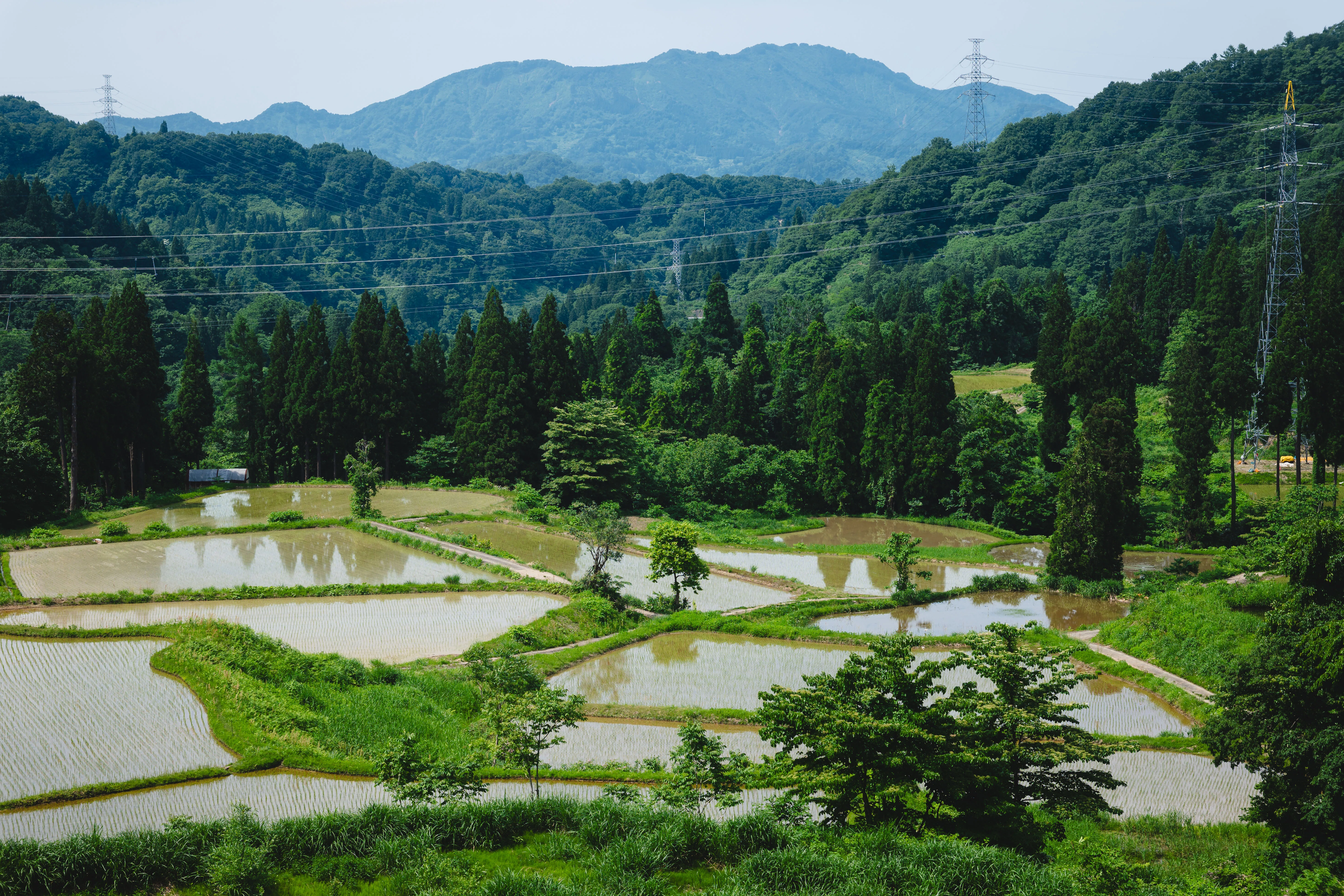 旅の写真日記(新潟/十日町)｜反 町 。