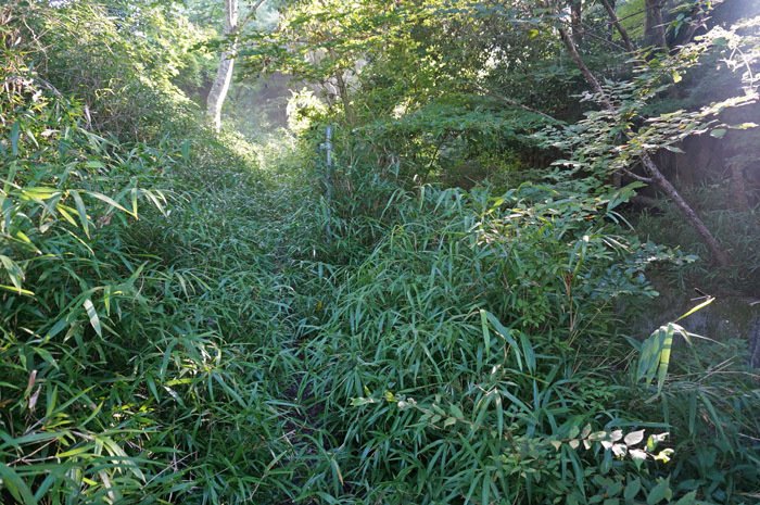 由布岳西口登山道入口