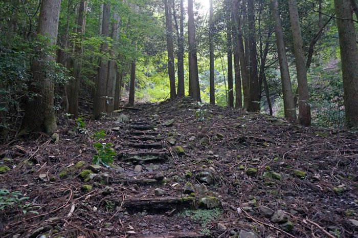 由布岳西口登山道