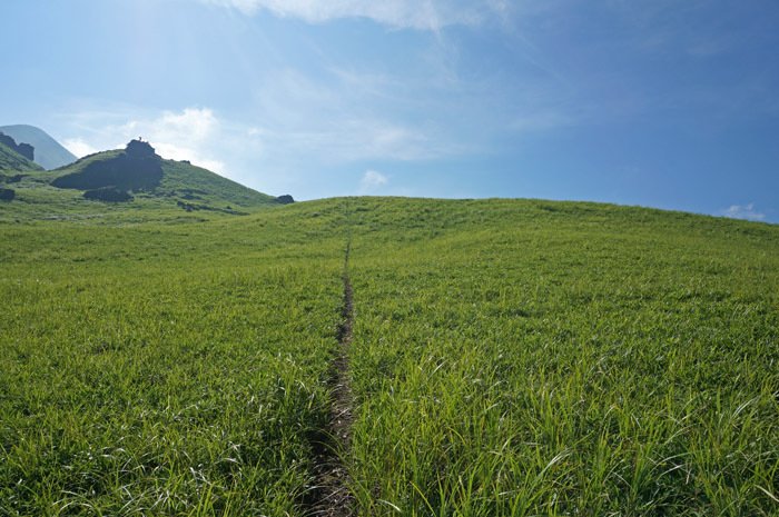 由布岳西口登山道のハイライトの草原