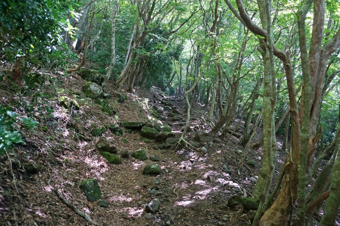 合野越からの登山道