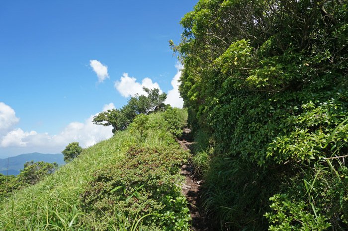 由布岳正面登山道