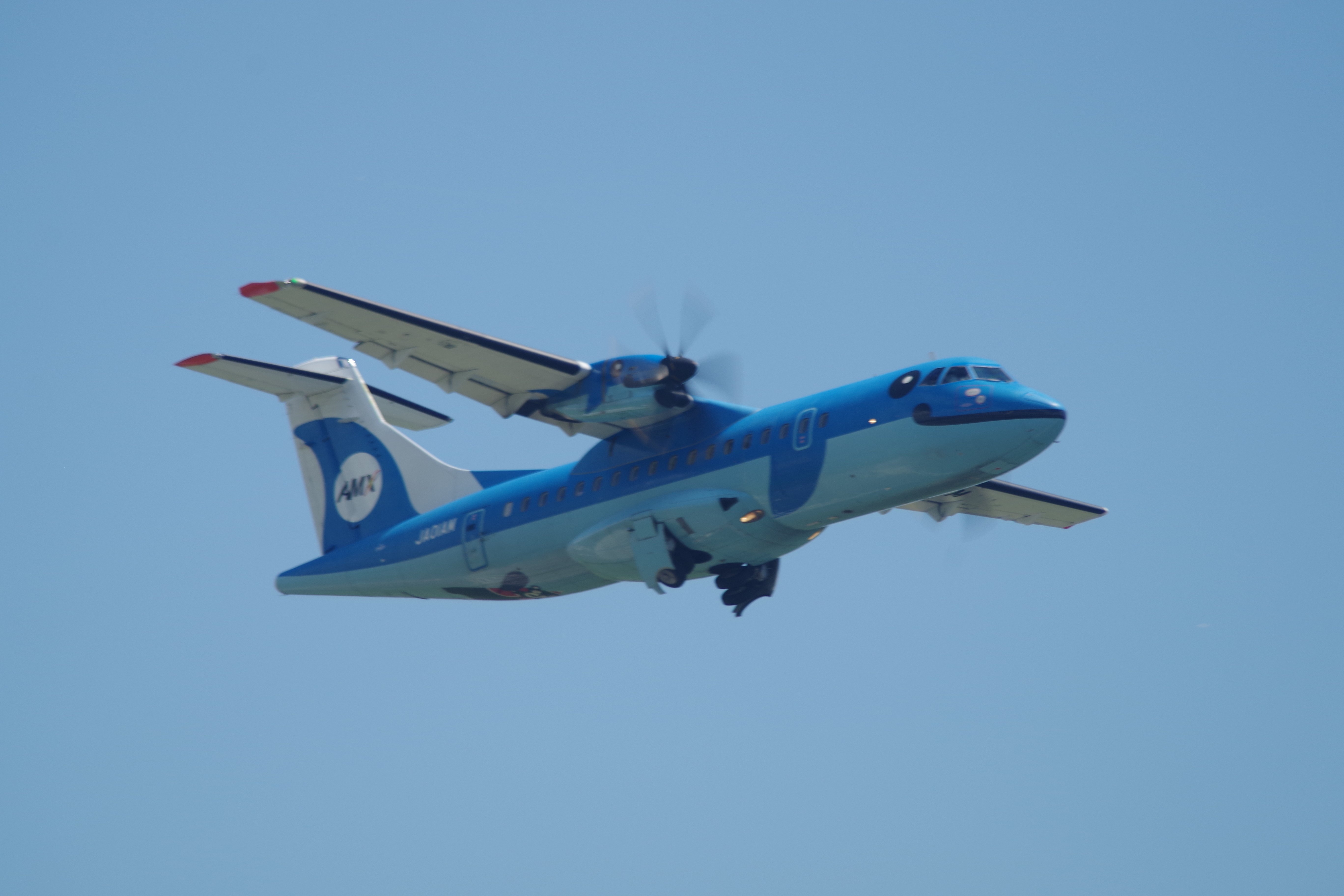 みぞかちゃん｜とも