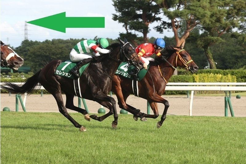 ナチュラルライズ　馬券　カトレアステークス　現地的中馬券　直筆サイン　騎手 ナチュラルライズ 馬券 カトレアステークス 現地的中馬券 直筆