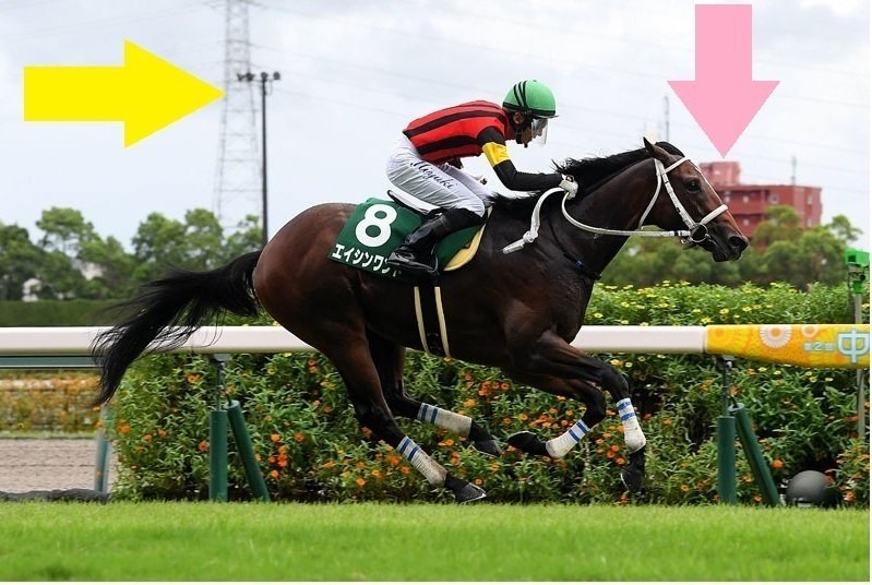 ナチュラルライズ　馬券　カトレアステークス　現地的中馬券　直筆サイン　騎手 ナチュラルライズ 馬券 カトレアステークス 現地的中馬券 直筆
