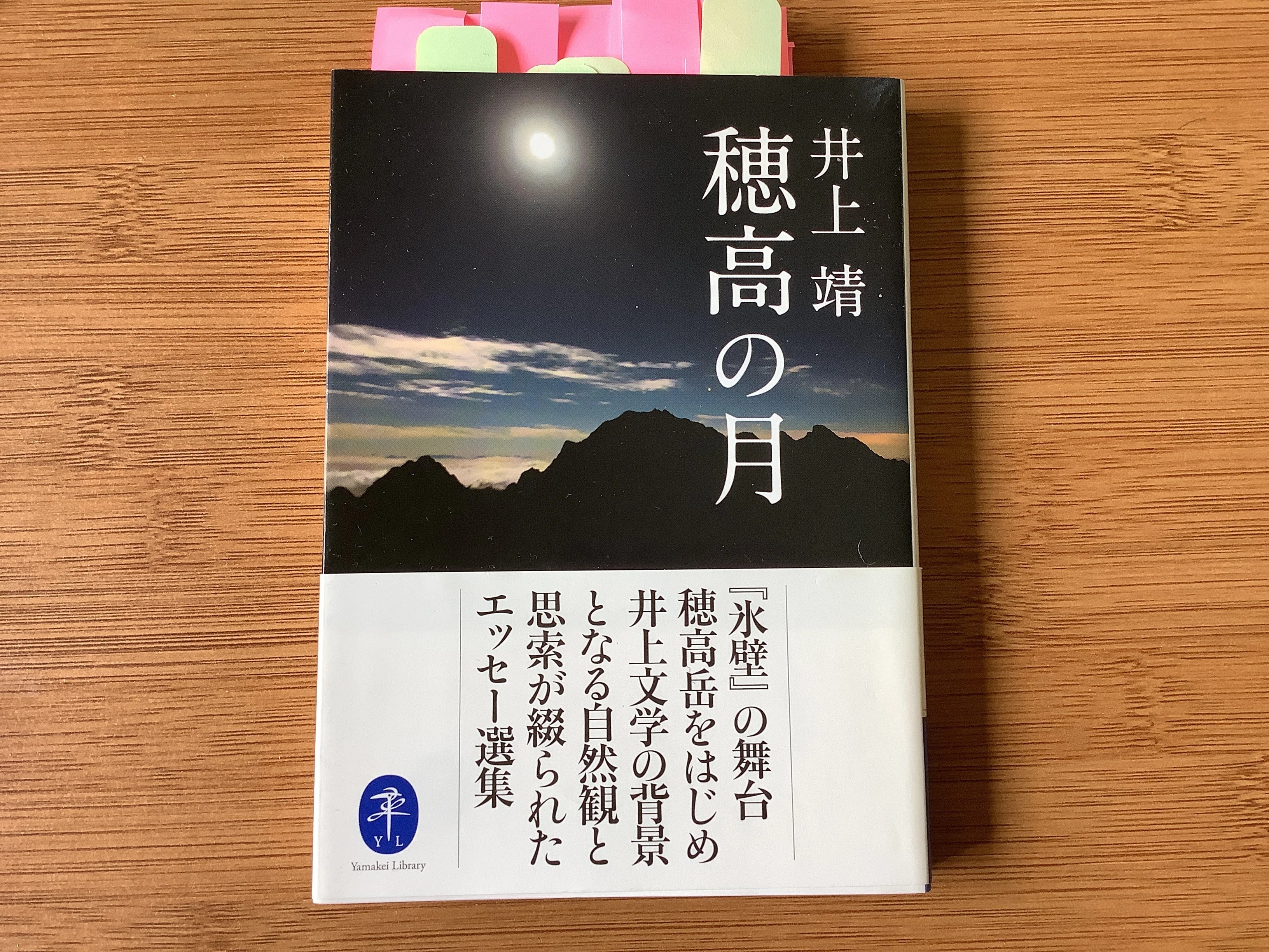 本の事】 井上靖さんの詩集と小説のこと｜けい