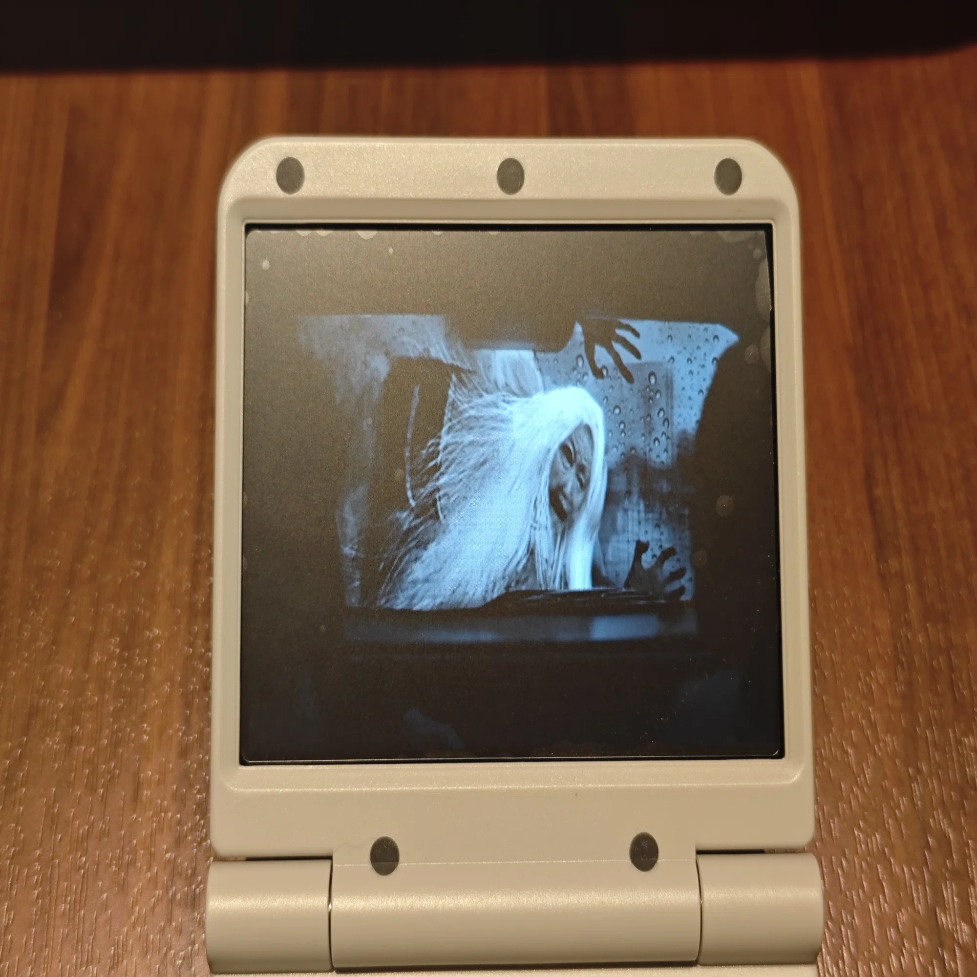 Miyoo Flip (v2) 入手！｜葉月 陽