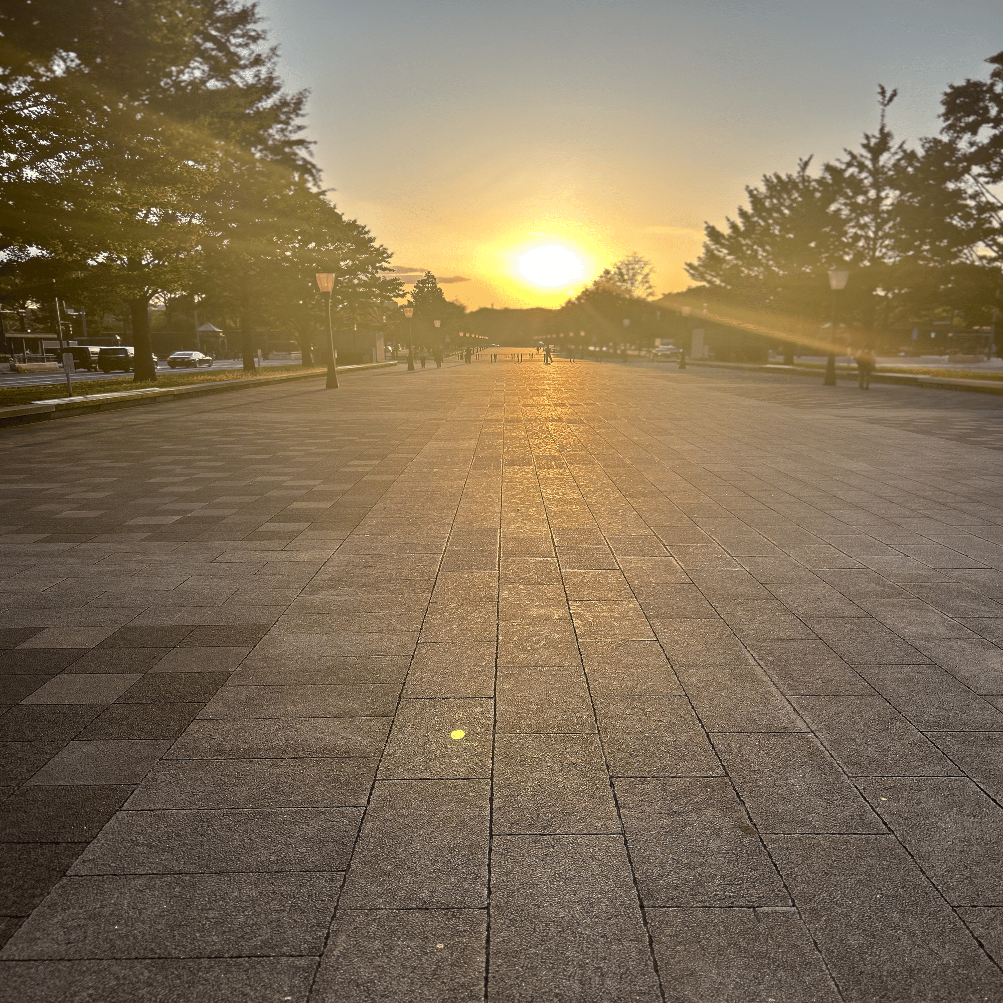 丸の内の思い出、あるいは(オフィスツアーになるはずだったもの)｜ななつぼし監査法人