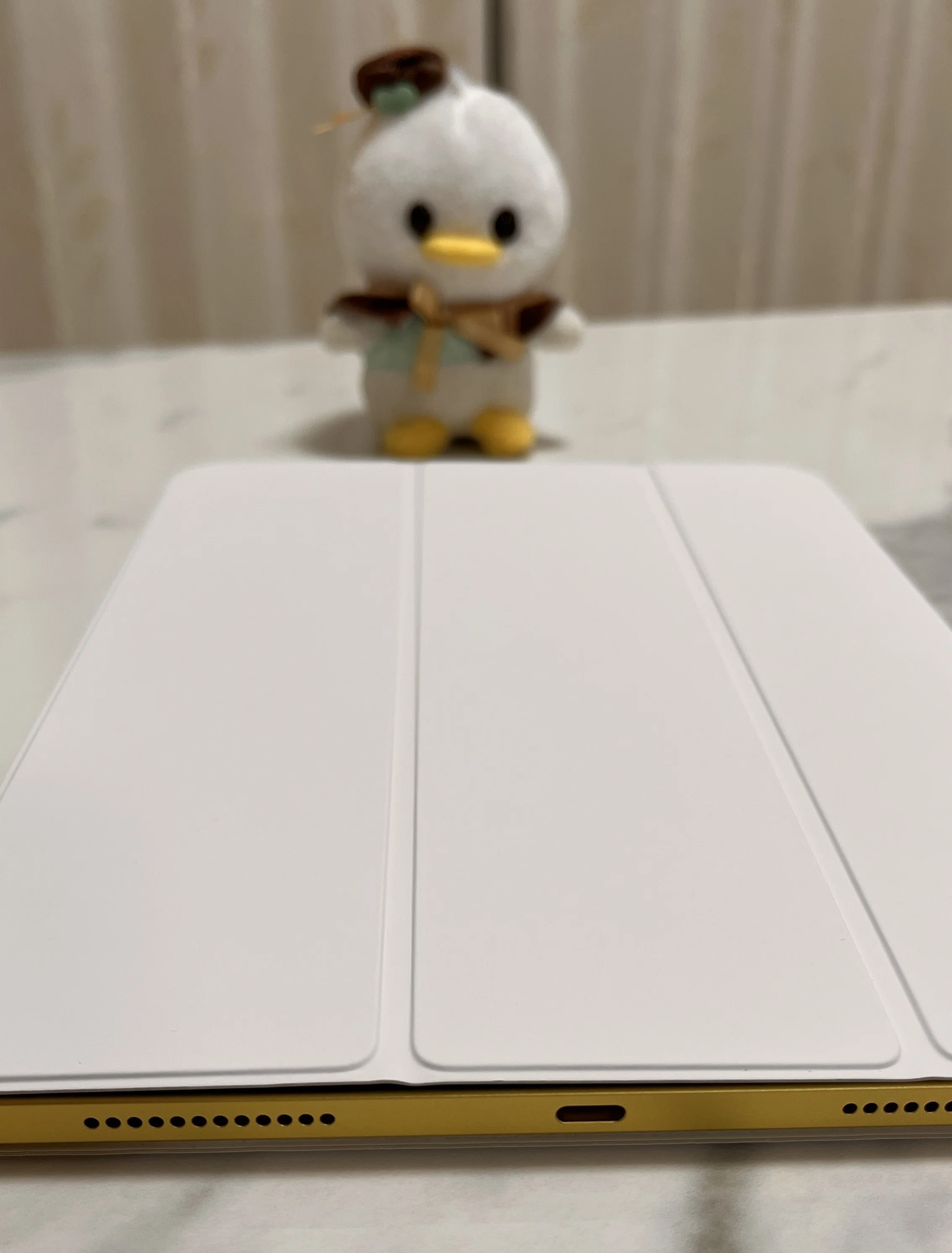 iPad(第10世代)を1年間使用した嫁に使用感インタビュー｜うる