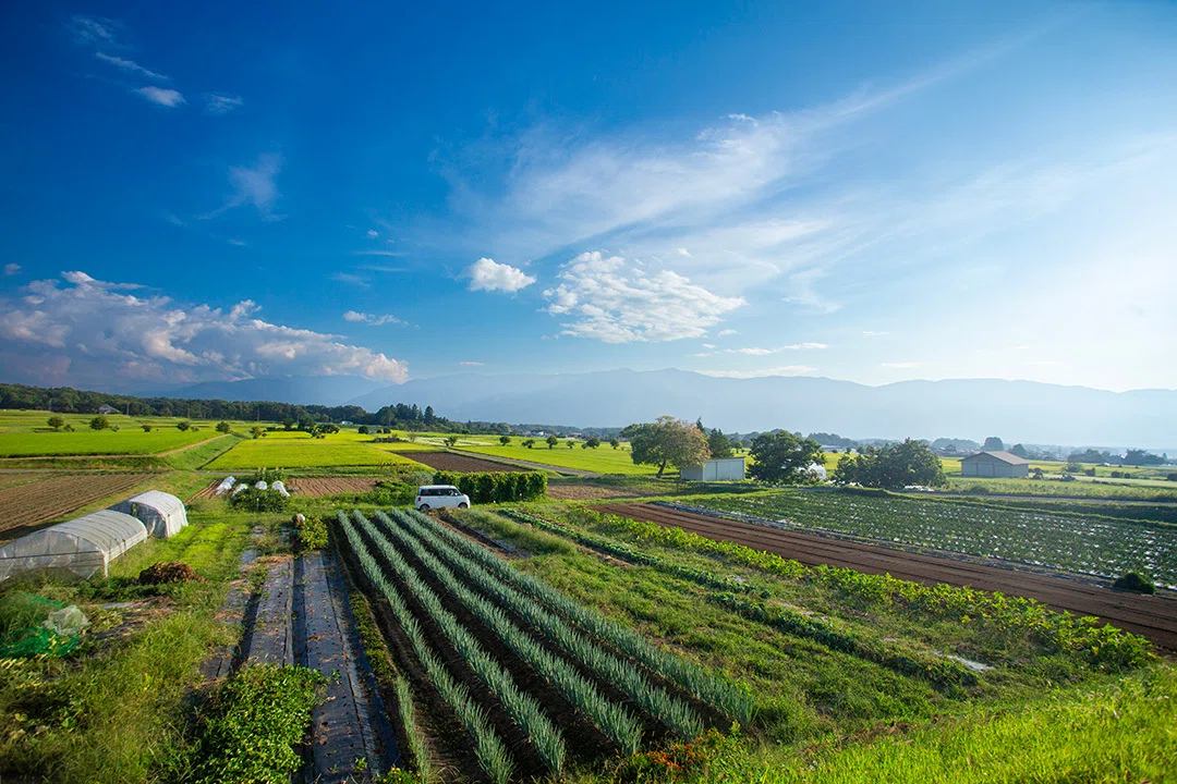 晩夏の田園風景|今村柊一