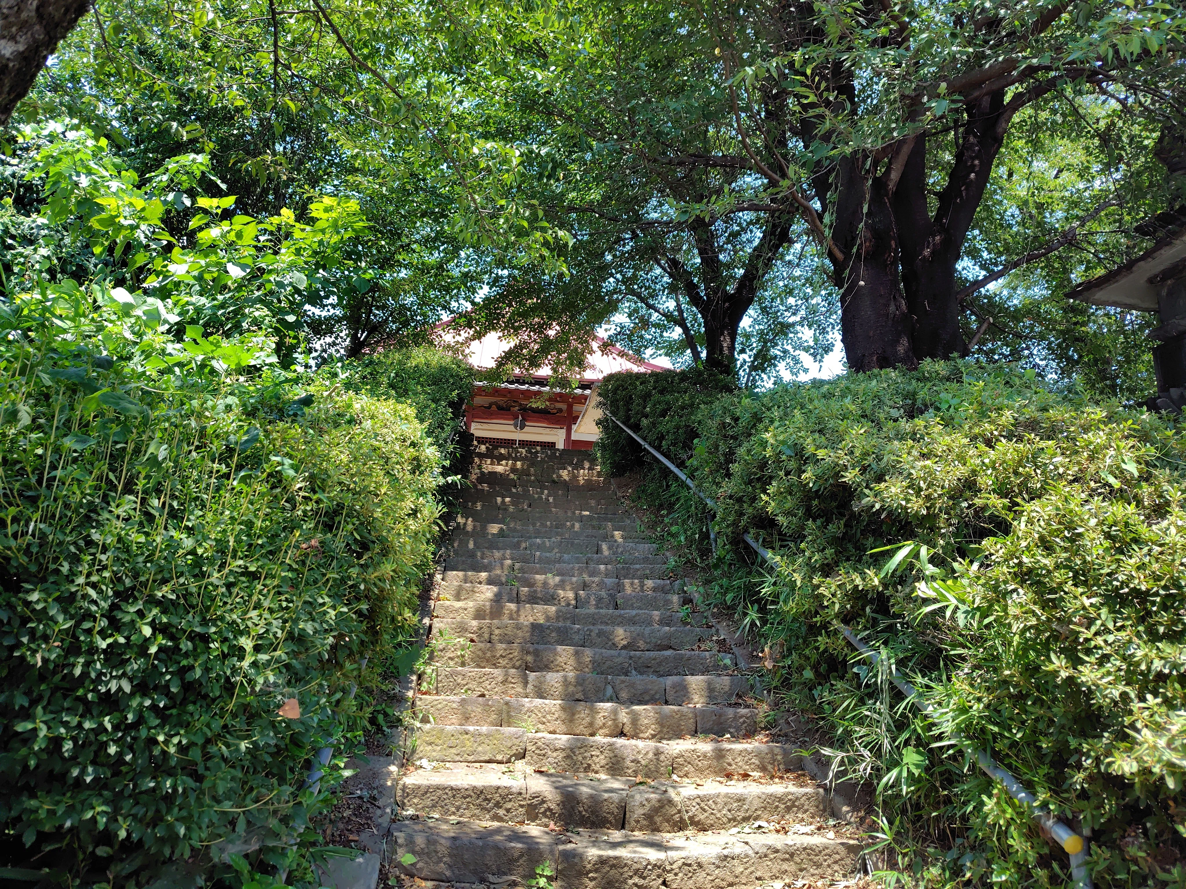 古社寺さんぽ】《しのぶ毛の国 二子塚》保渡田古墳群＠群馬県高崎市