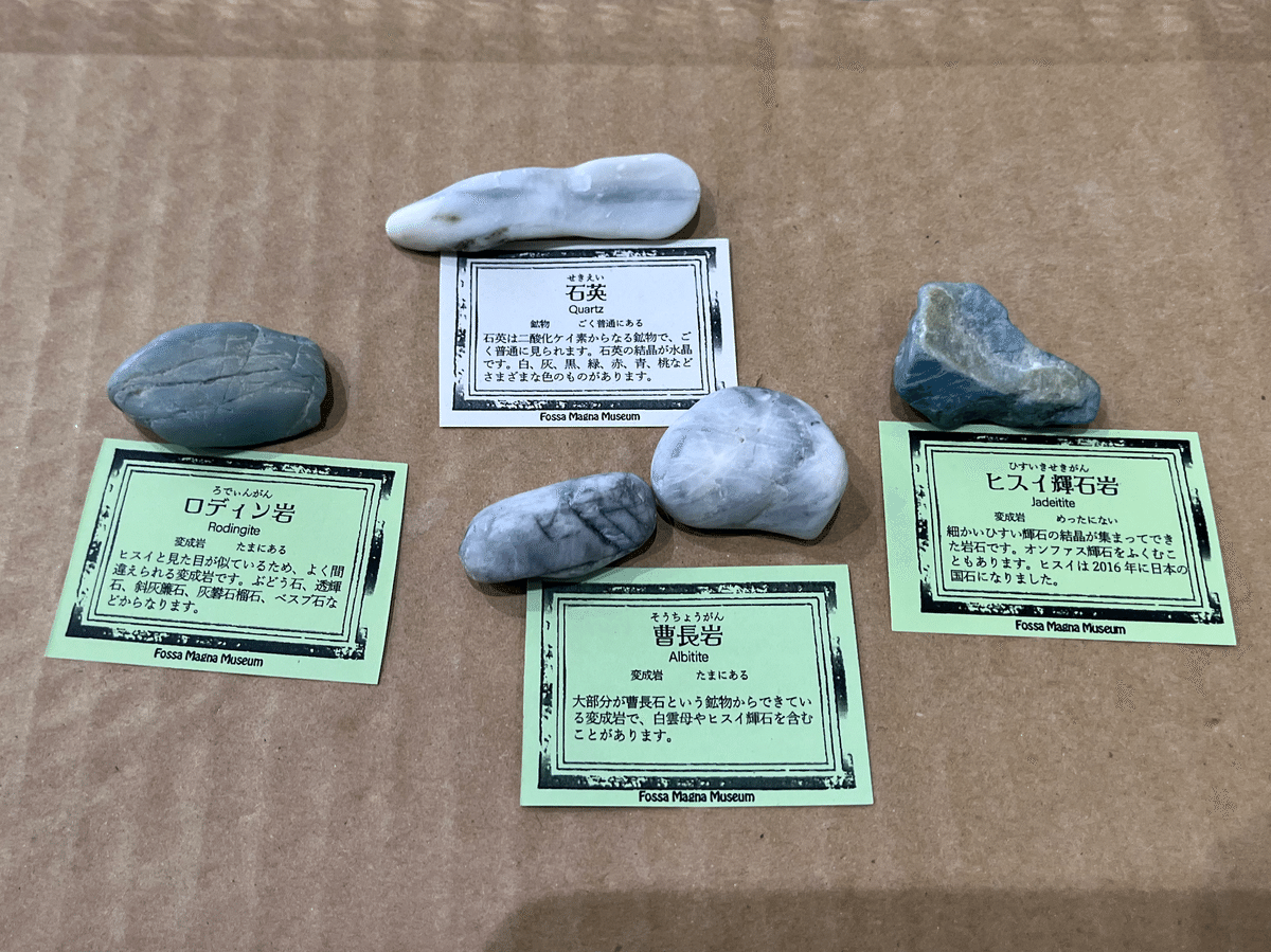 夏枯れの海で、妖精ラベンダーとコン沢と青に会えた奇跡。（翡翠を探す