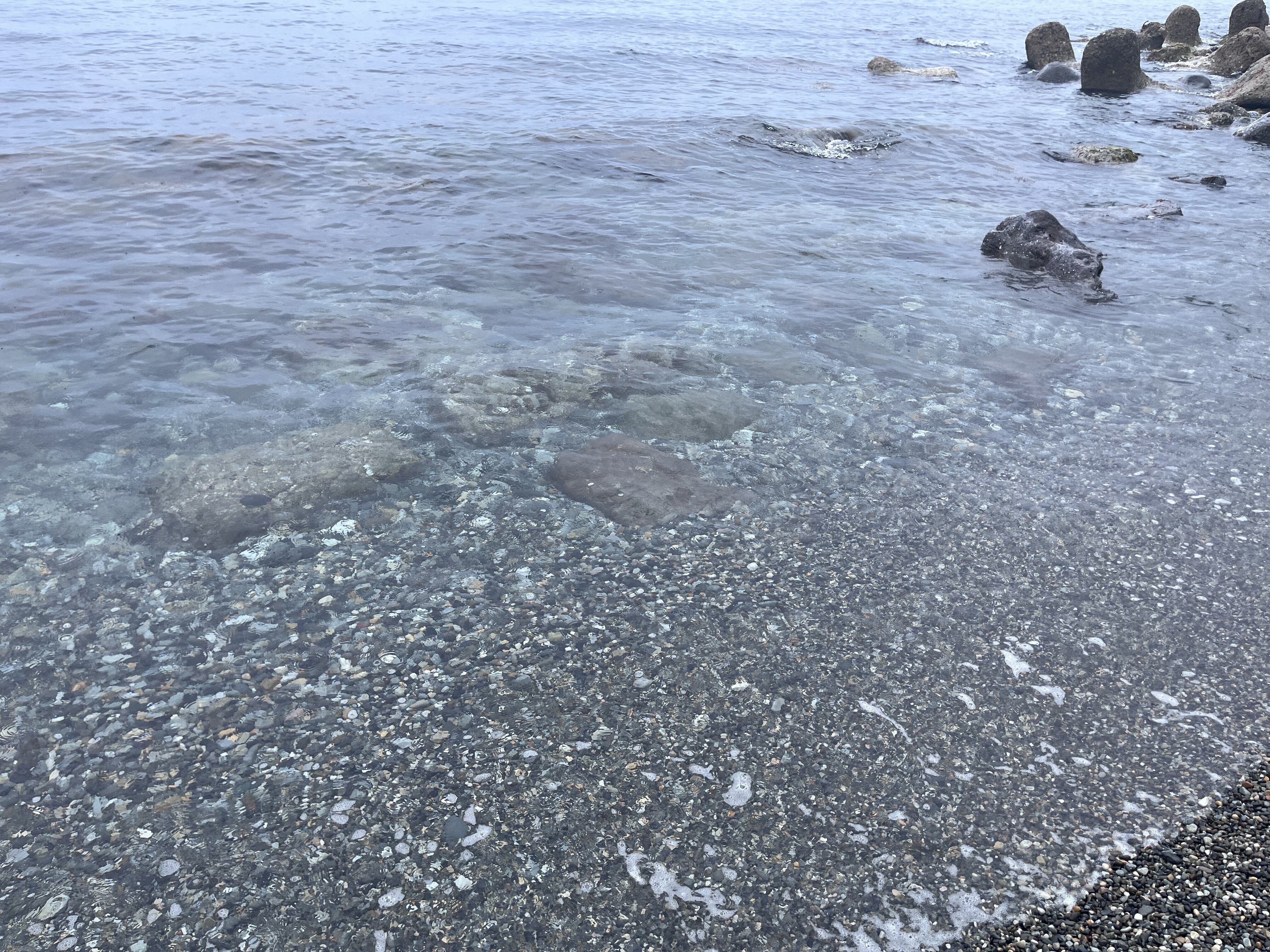 夏枯れの海で、妖精ラベンダーとコン沢と青に会えた奇跡。（翡翠を探す