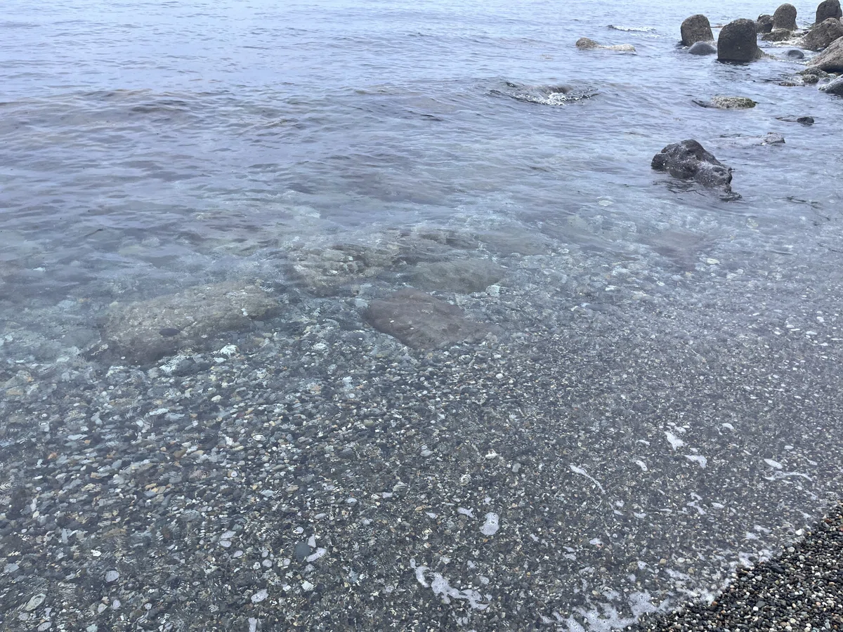 夏枯れの海で、妖精ラベンダーとコン沢と青に会えた奇跡。（翡翠を探す 