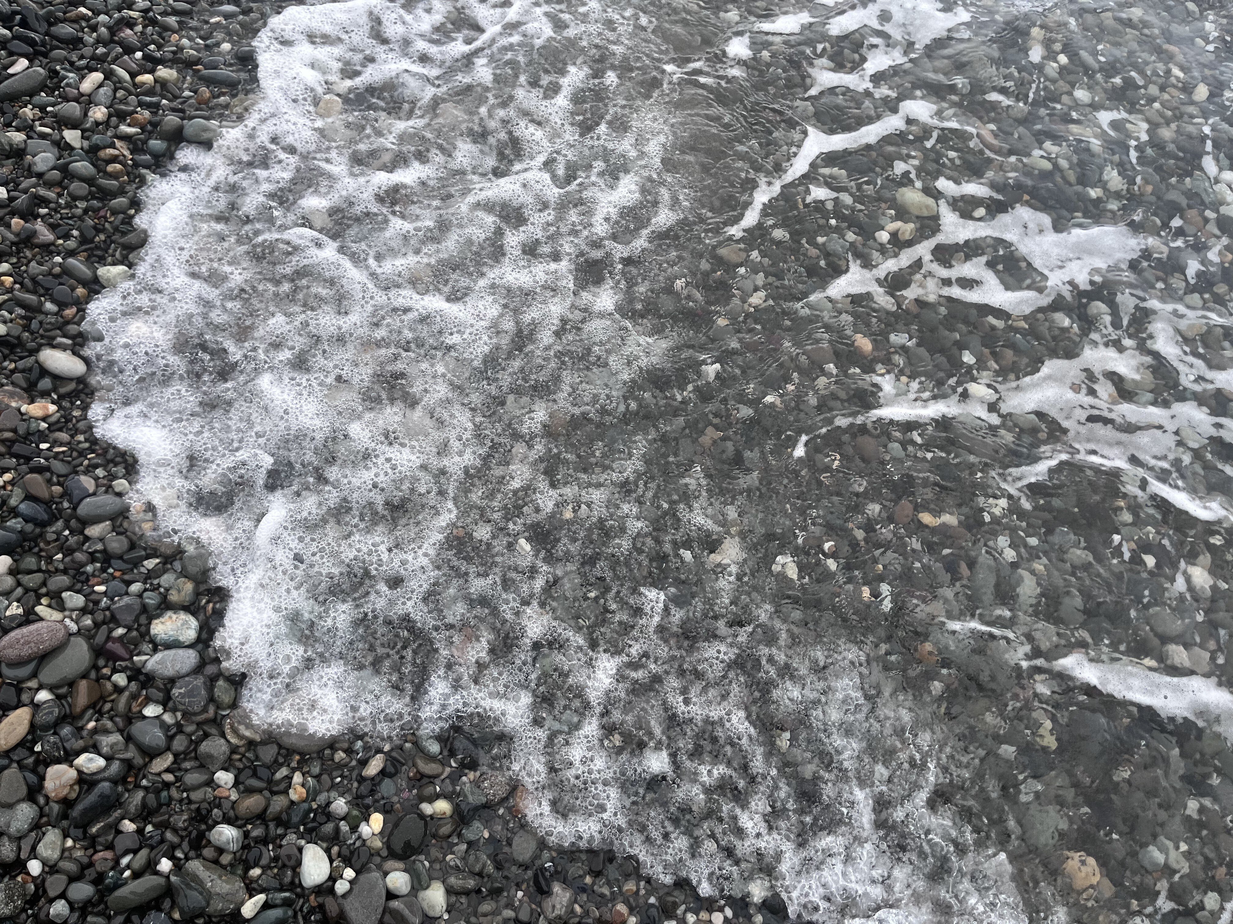 夏枯れの海で、妖精ラベンダーとコン沢と青に会えた奇跡。（翡翠を探す