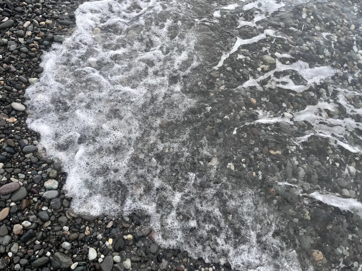 夏枯れの海で、妖精ラベンダーとコン沢と青に会えた奇跡。（翡翠を探す 
