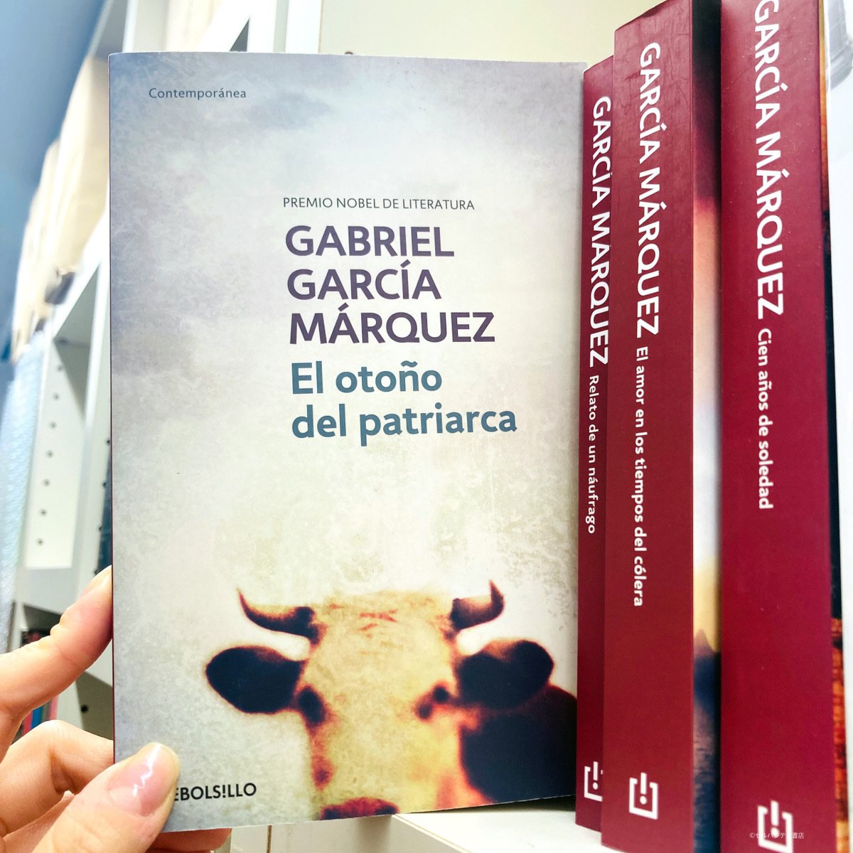 Gabriel Vargas /スペイン語 (ガブリエル・バルガス) Gabriel Vargas /スペイン語 (ガブリエル・バルガス) Gabriel Vargas