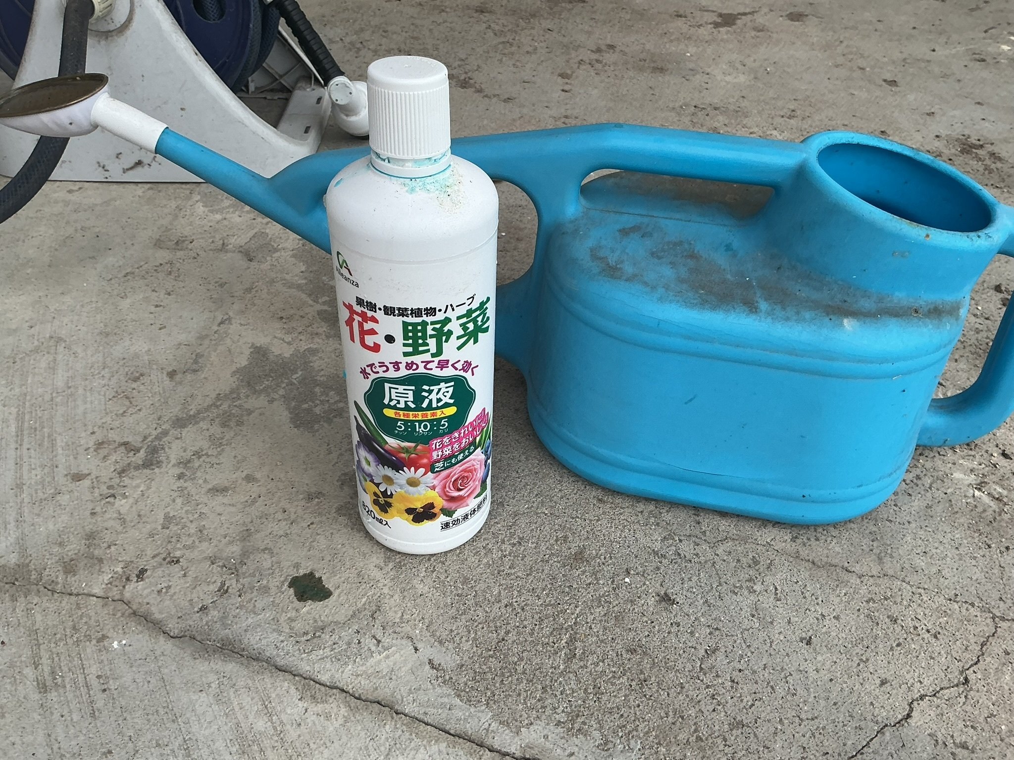 畑は最高の出来！なのに苗が全く成長しない！｜DJ.プラグマティクス