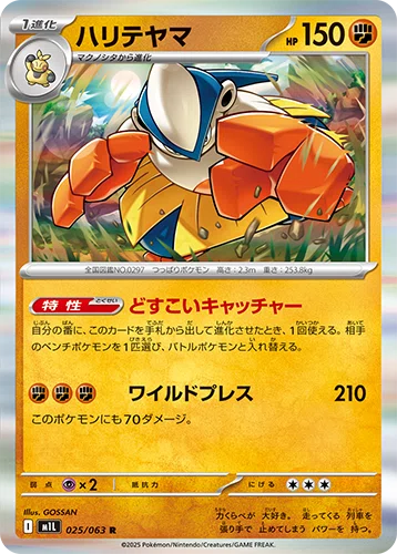 命爆発！環境に強いメガルカリオex【基本型構築】【CL横浜/シティS1