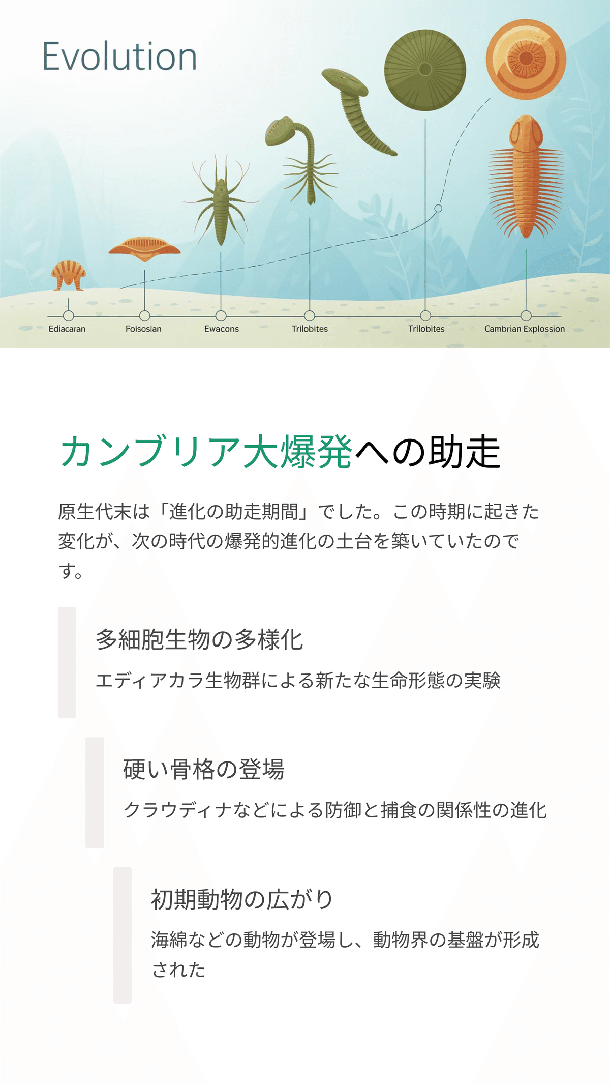 原生代末の生命進化 ― エディアカラ生物群と硬い殻の誕生｜松尾靖隆