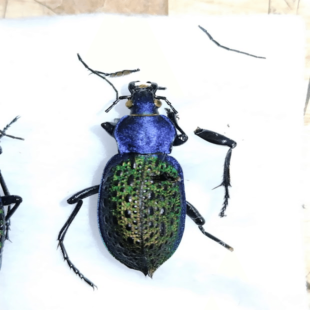 恥をさらす記事｜おさこじき