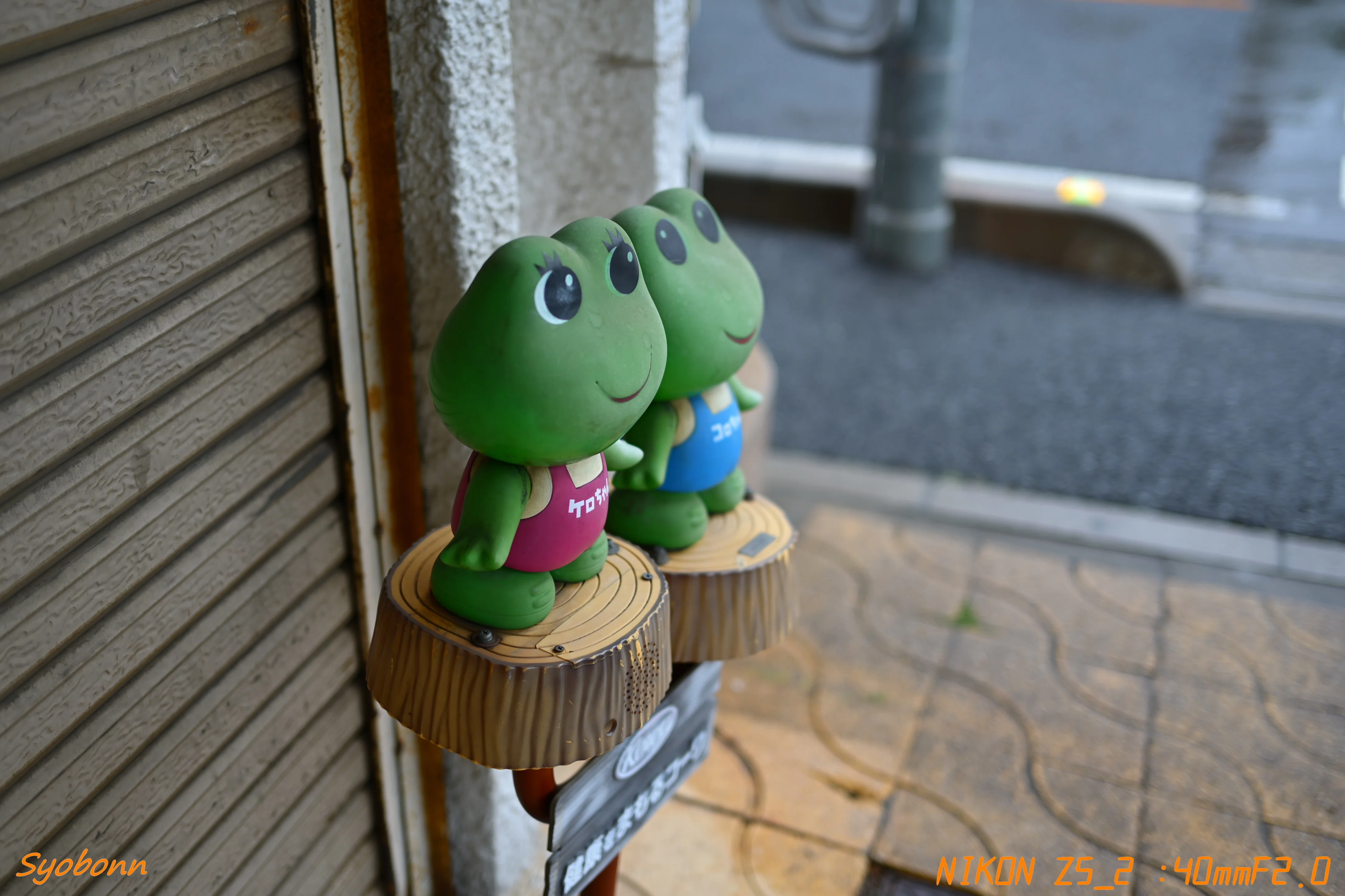 常磐線に乗ってきた#148_2505｜(´・ω・｀)