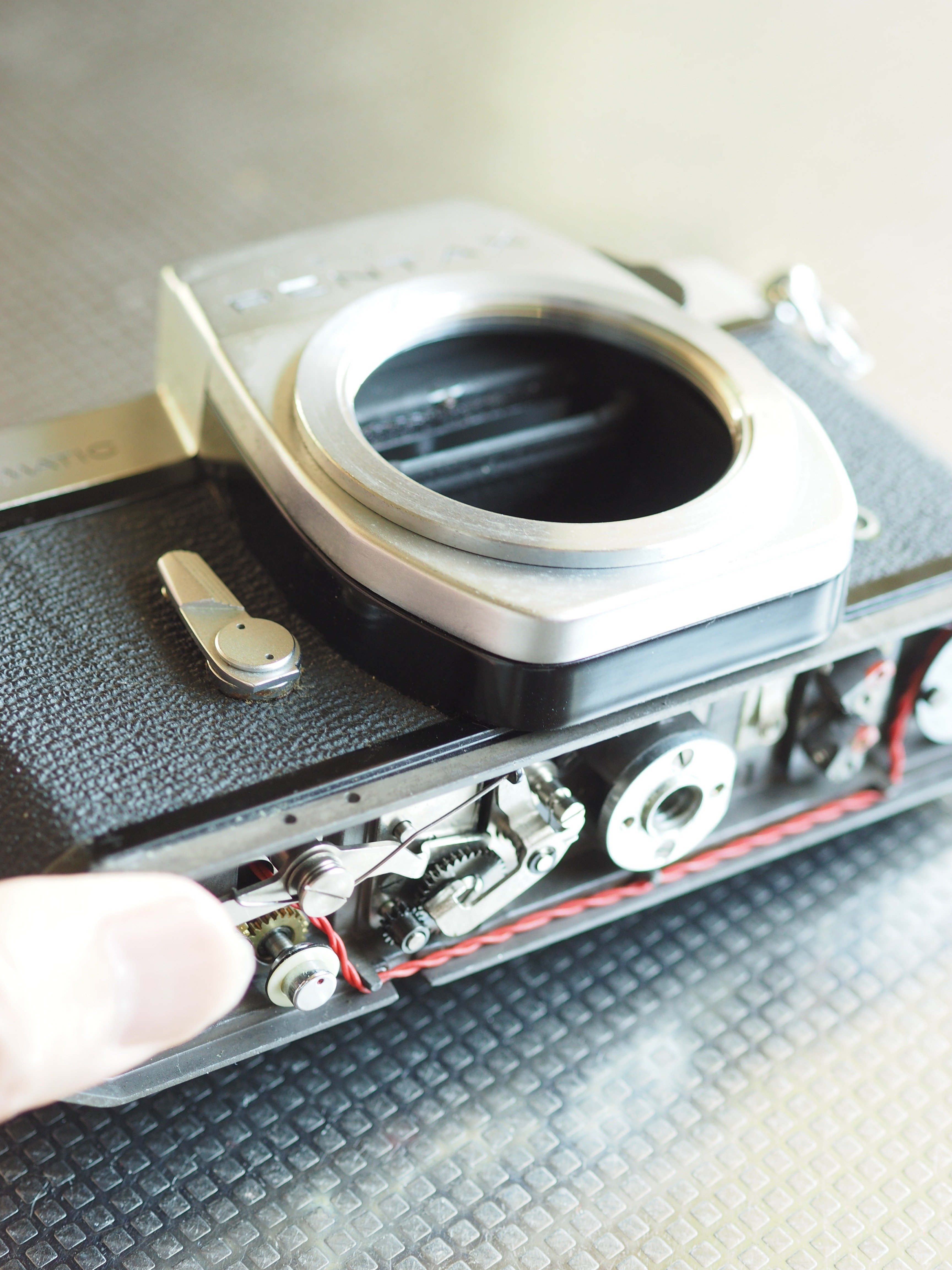 ジャンクSPの沼？｜cherubino