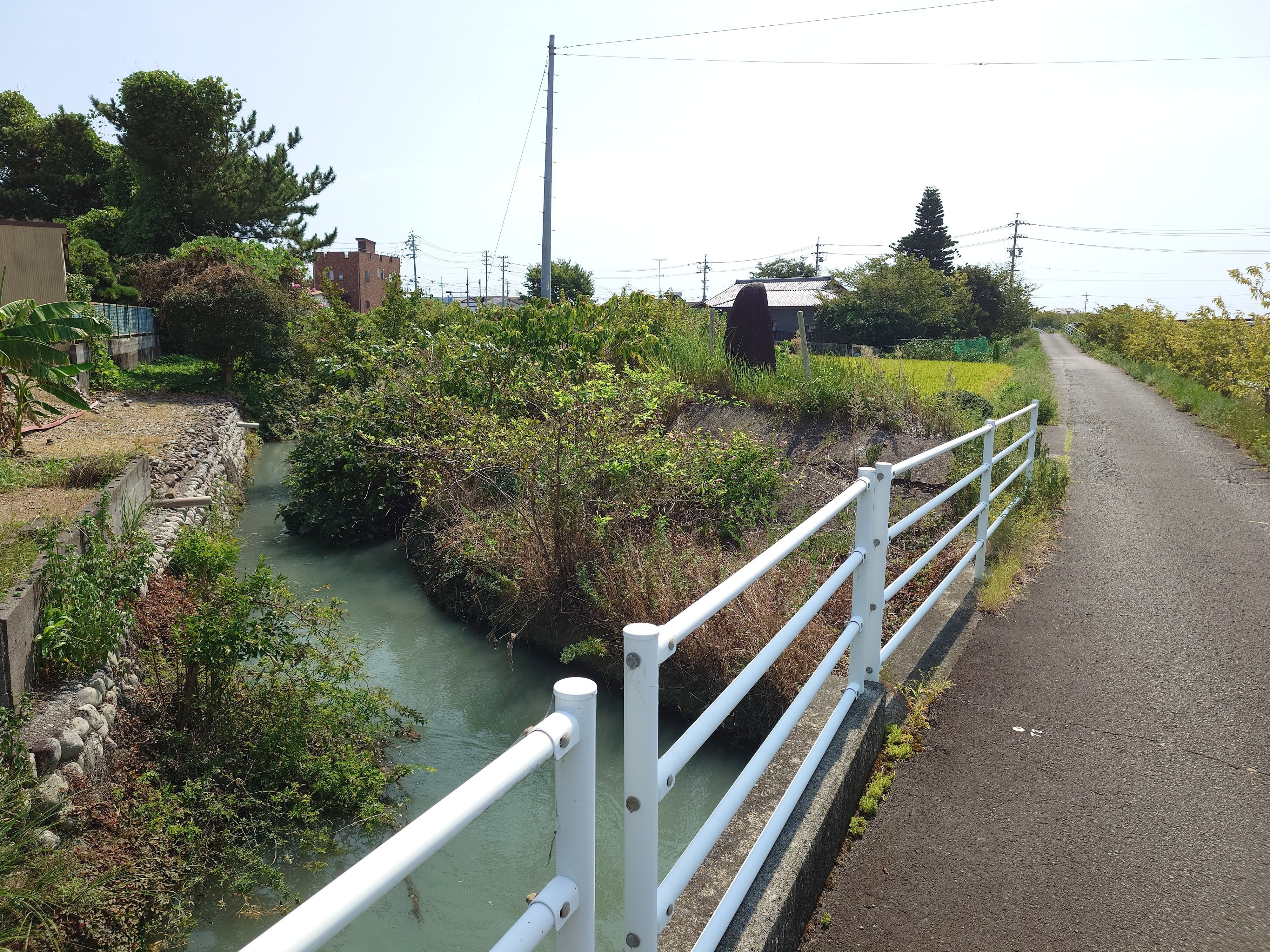 石碑裏から堤防を見る