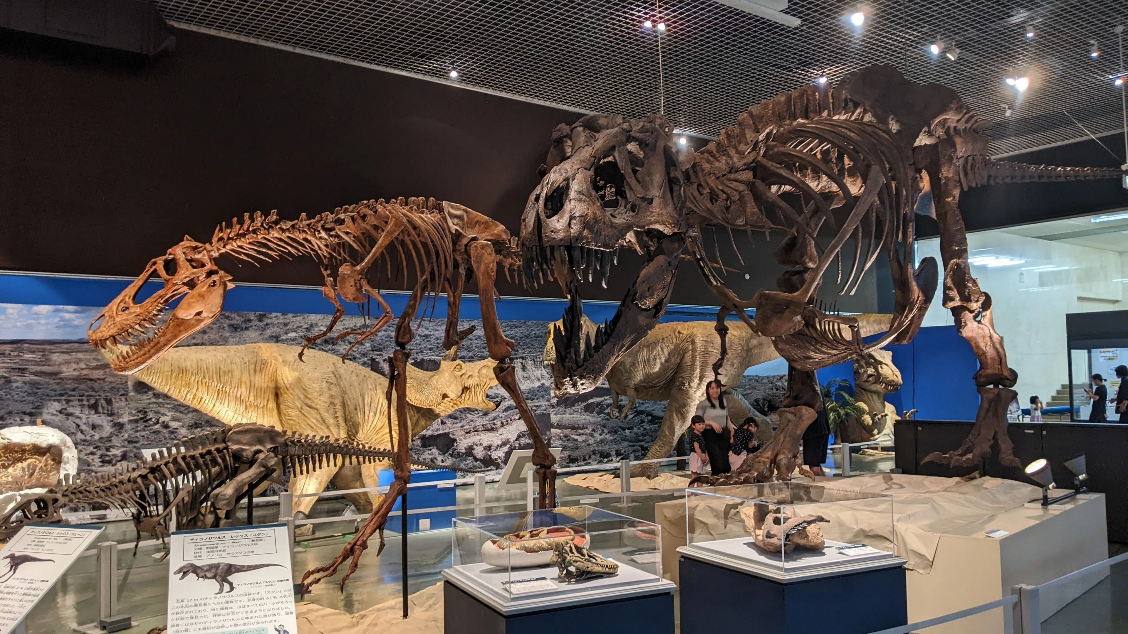 特別展 ティラノサウルス博2025に行ってきた｜みれのスクラップ