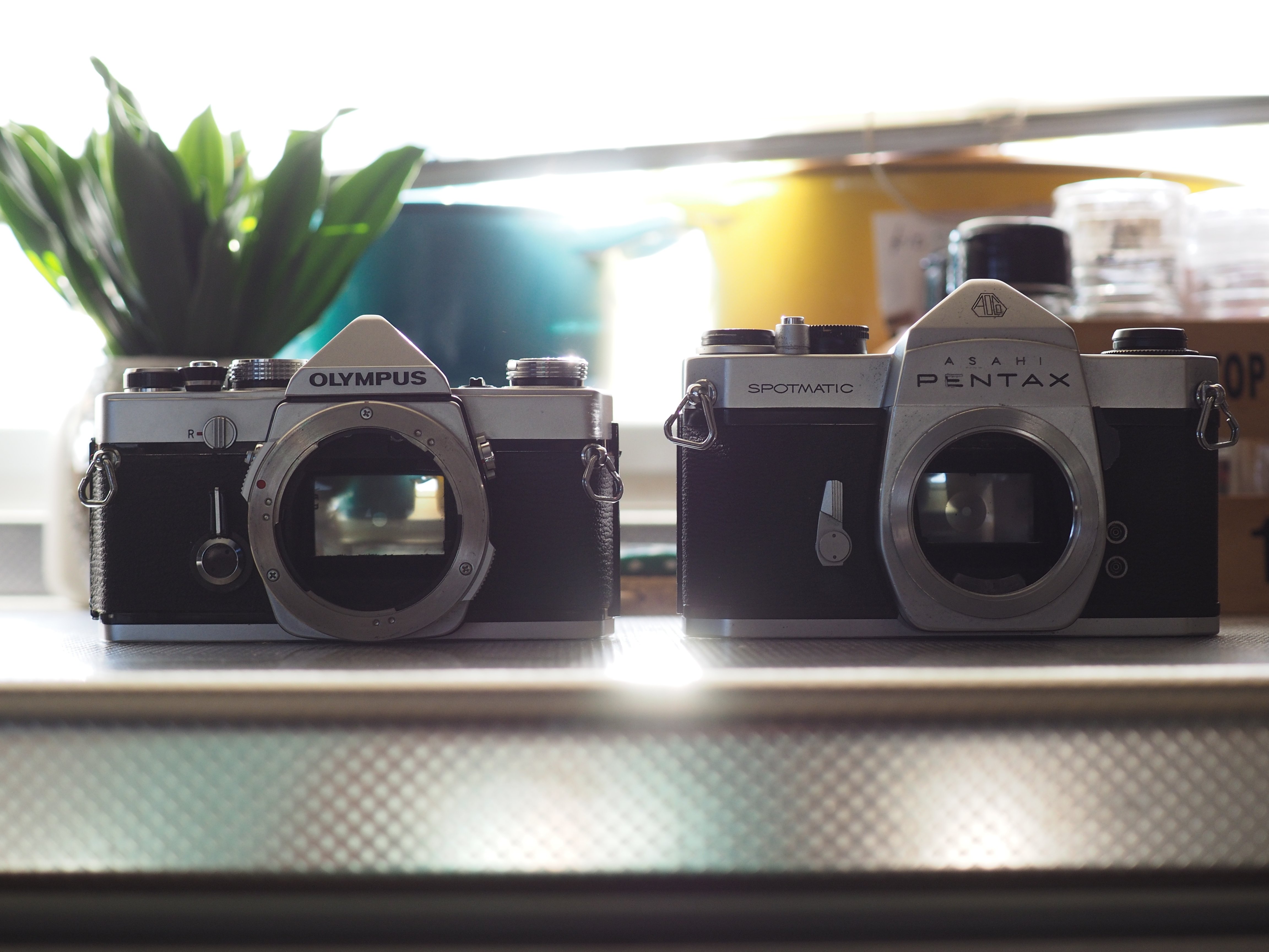 【ジャンク】PENTAX SP ヤシカ など フィルムカメラ 12台 ⑥ PENTAX - (最終値下げ)PENTAX SP フィルムカメラの通販 by きら
