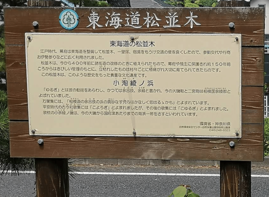 松並木の案内看板