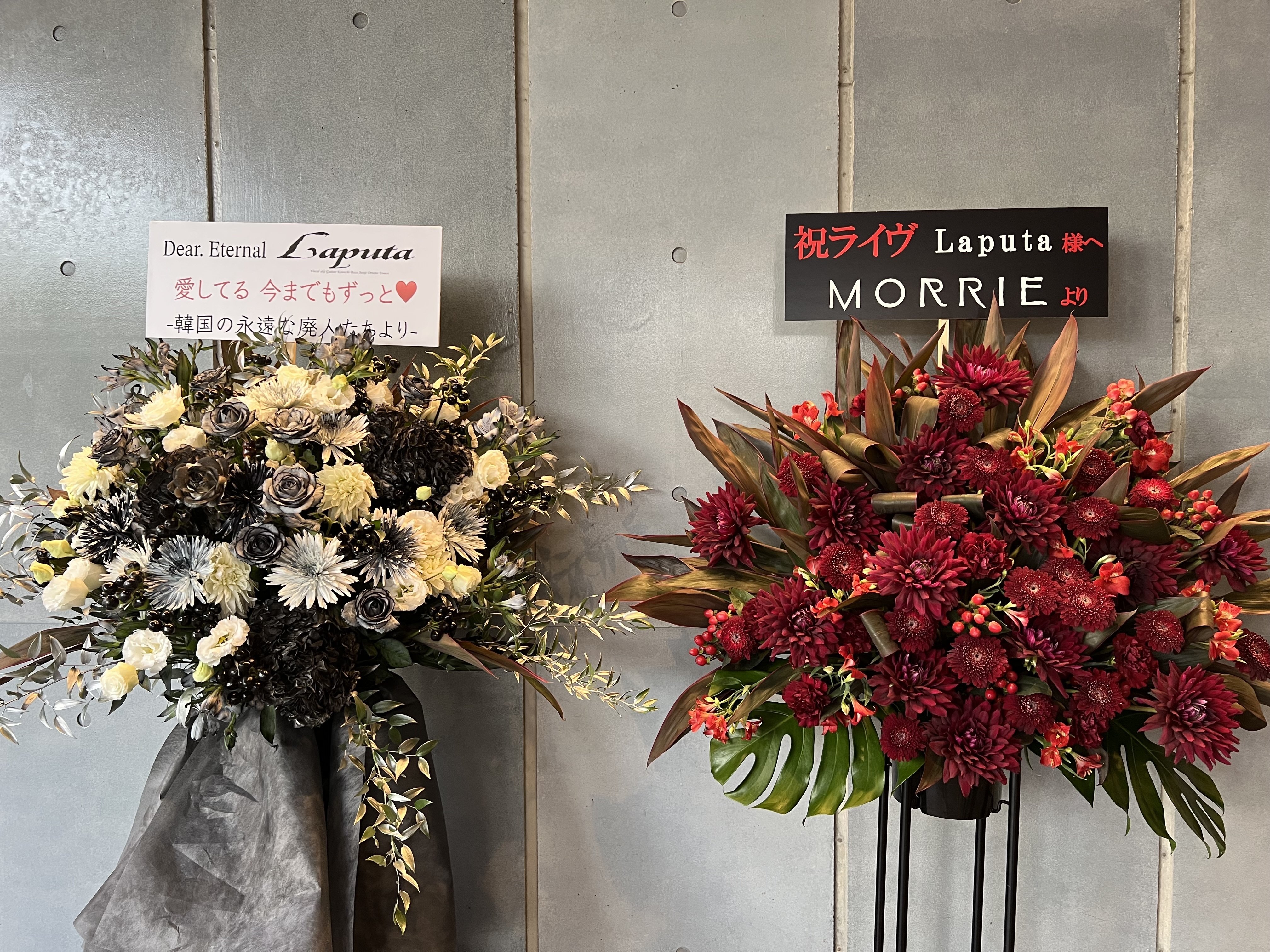 光と希望に満ちたakiさんとの再会！継続宣言も飛び出したLaputa 21年