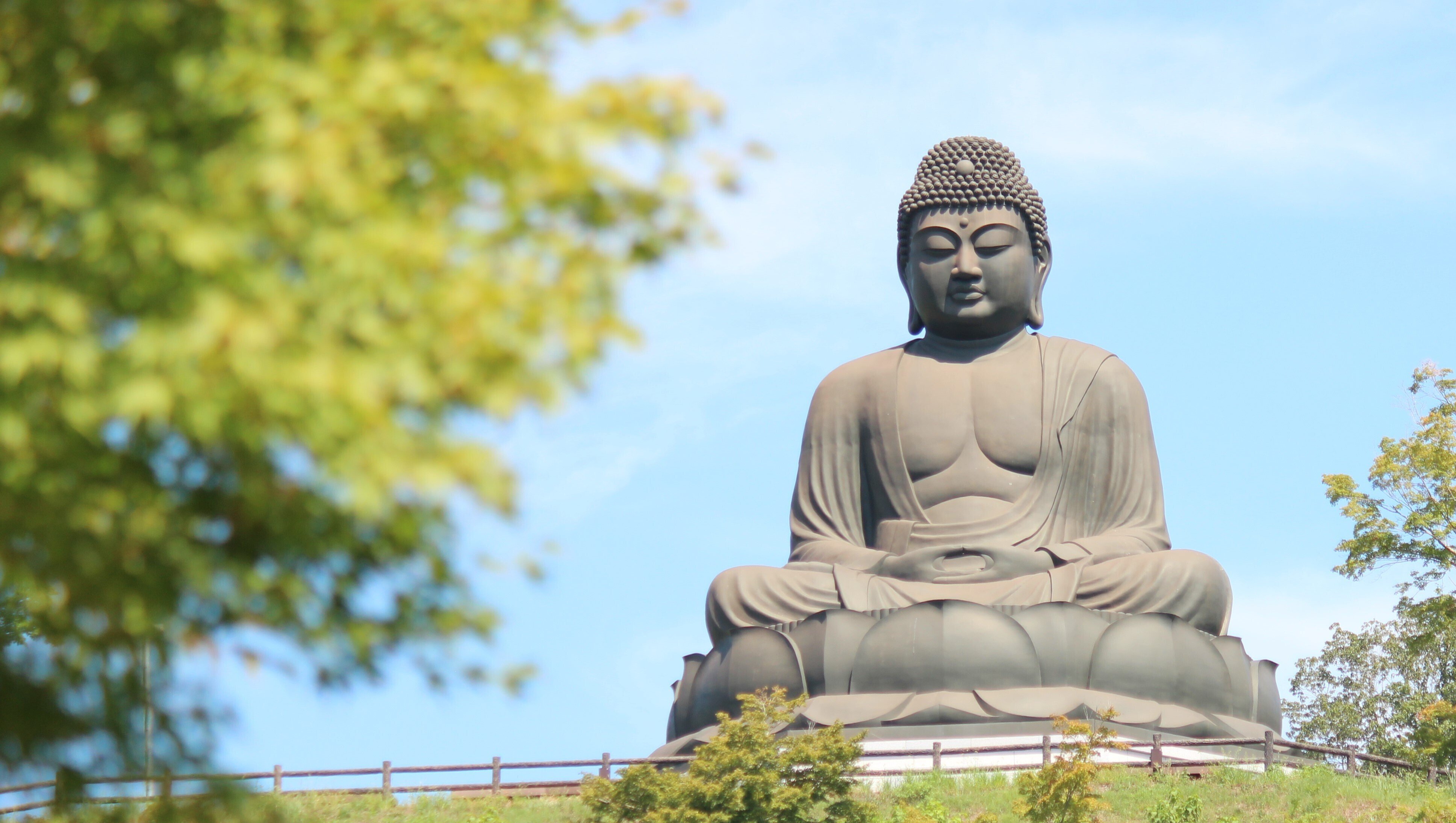 鎌倉大仏より大きい！鹿野大佛を見に行く｜はらみ