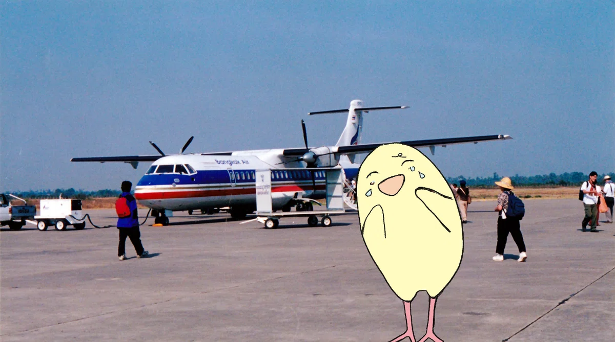 泣き真似をしてももう遅い。このあとCAさんに注意され、慌ててプロペラ機に駆け込む